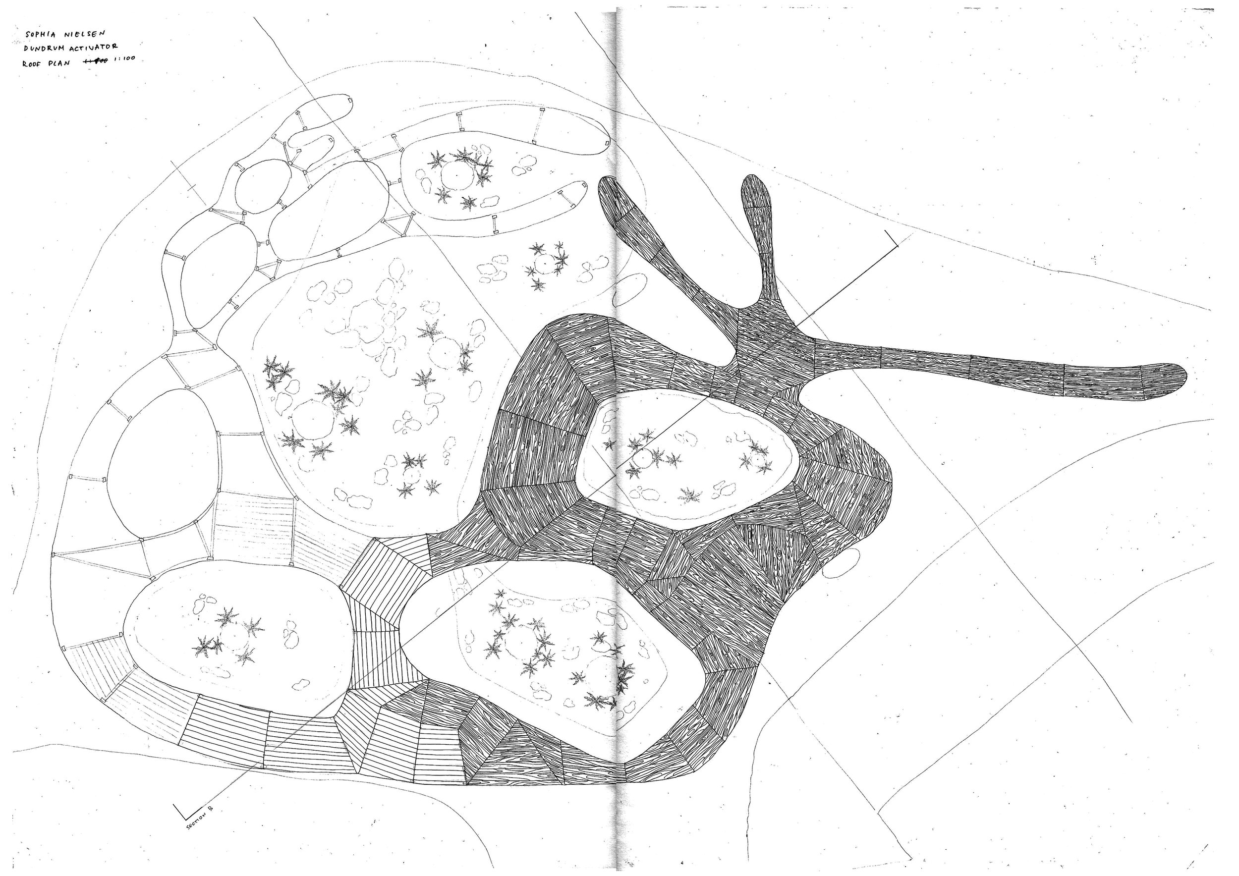1:100 Stripped Roof Plan
Hand drawn
Felt-tip fine liner