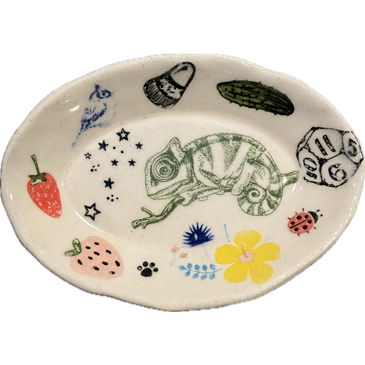 Chameleon Randomness Dish