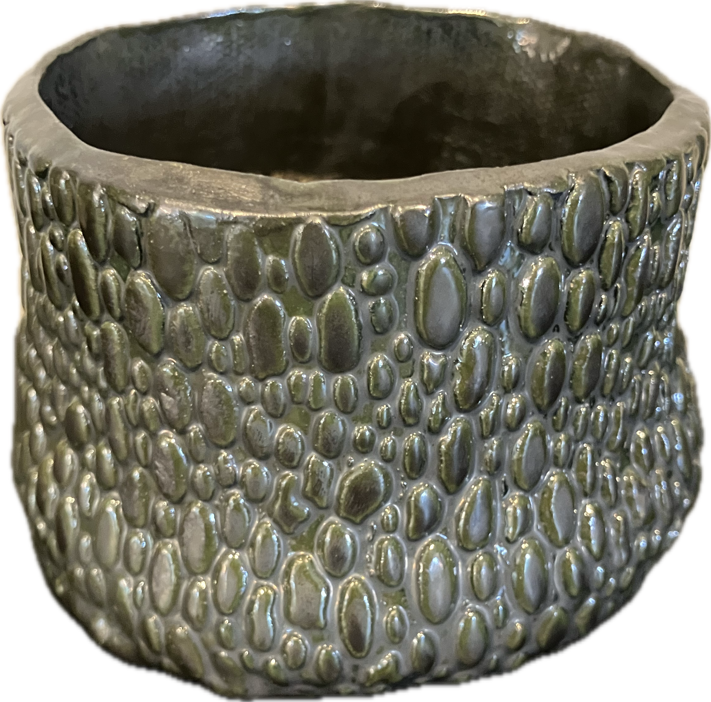 Dragon Scale Planter Pot