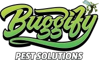 Buggify Pest Solutions