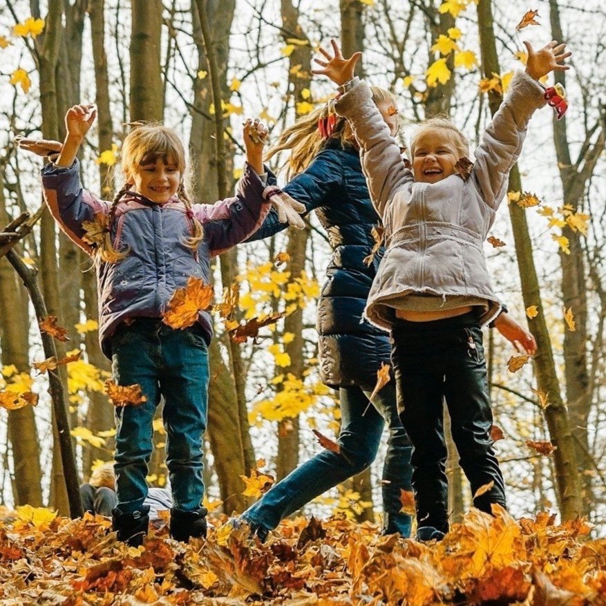 6-12j Kampje 🍁 Herfstkracht - Oogsten, loslaten en kleurenpracht!