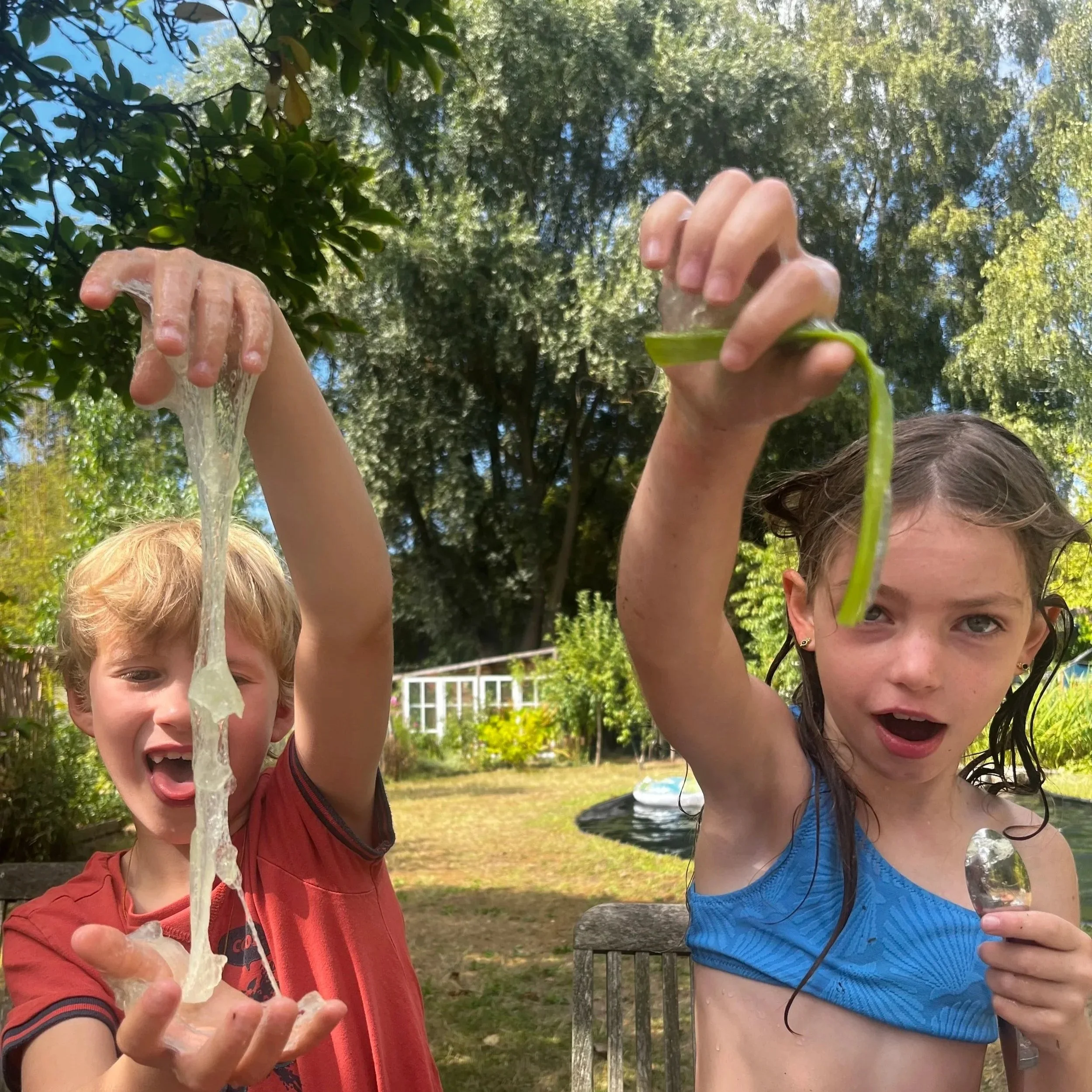 BRUIS! * creatieve groeireeks voor kinderen