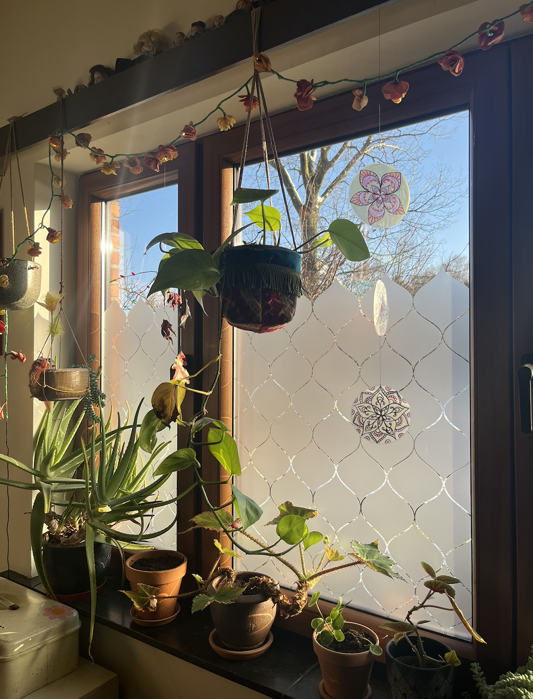 Scherm­afbeelding 2026-01-09 om 12.22.46.png