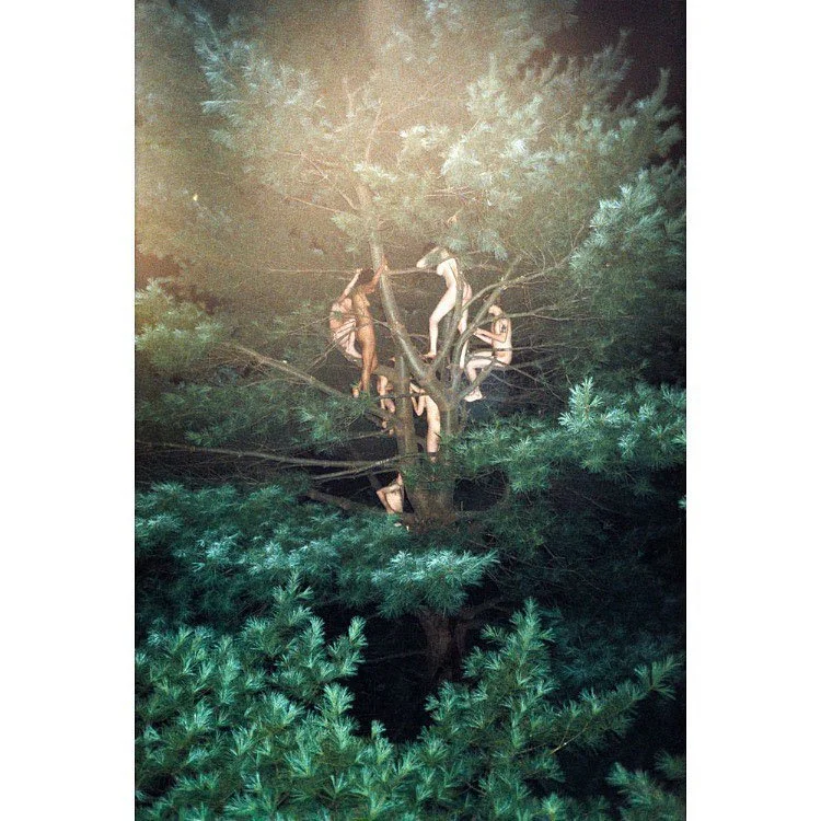 “Tree” di Ryan McGinley