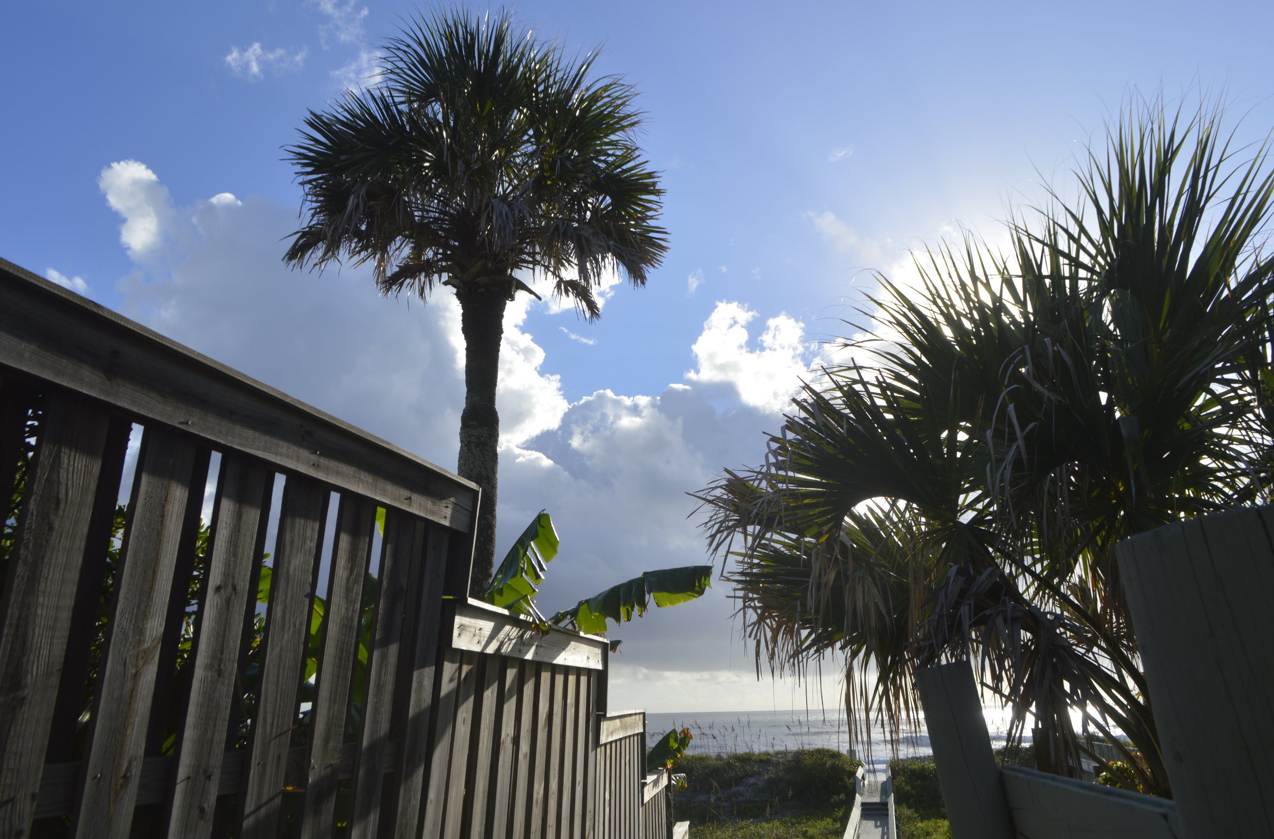 Morning Beacg 018.JPG