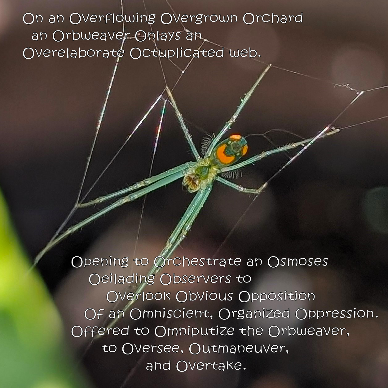 ORBWALLITPHOTO.png