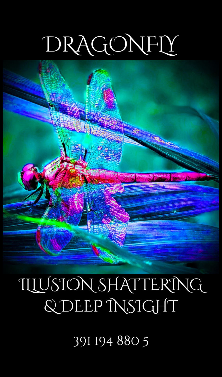 PNG DRAGONFLY.png