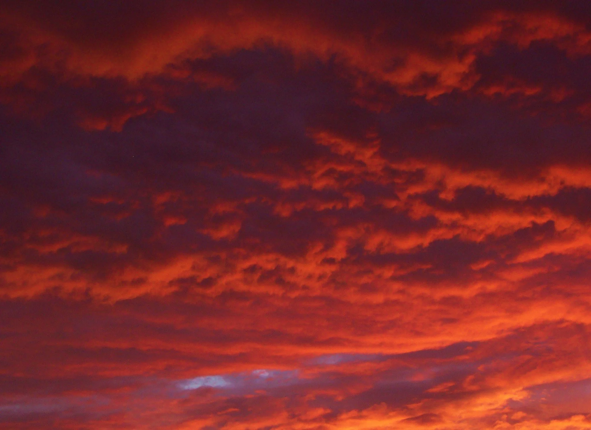 pink clouds4 bold.jpg