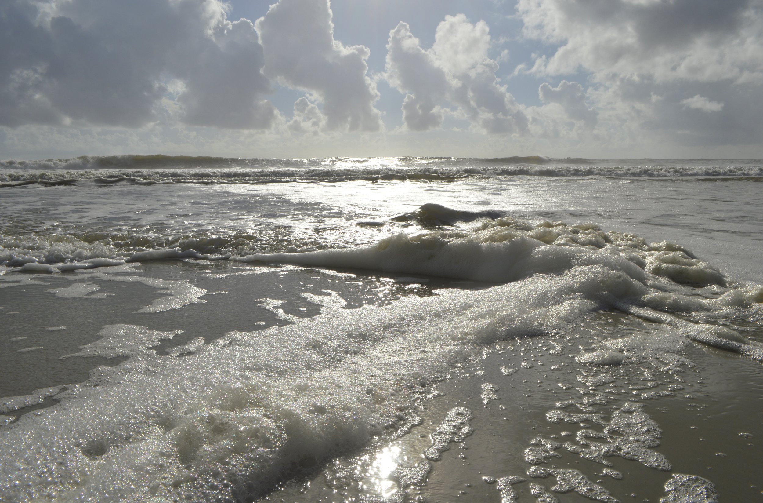 Morning Beacg 073.JPG