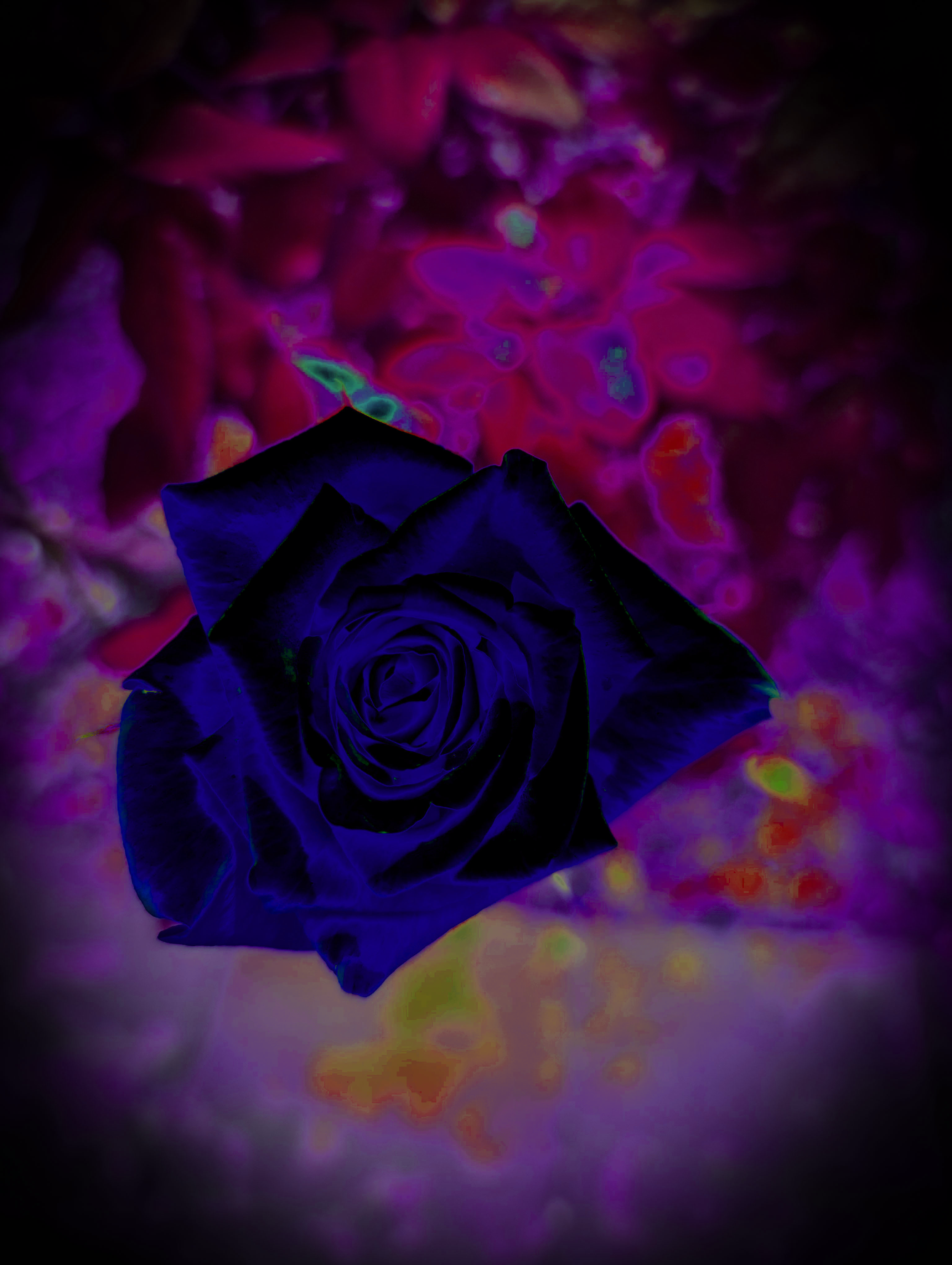 PXL_20230429_154348799 epopblack.png