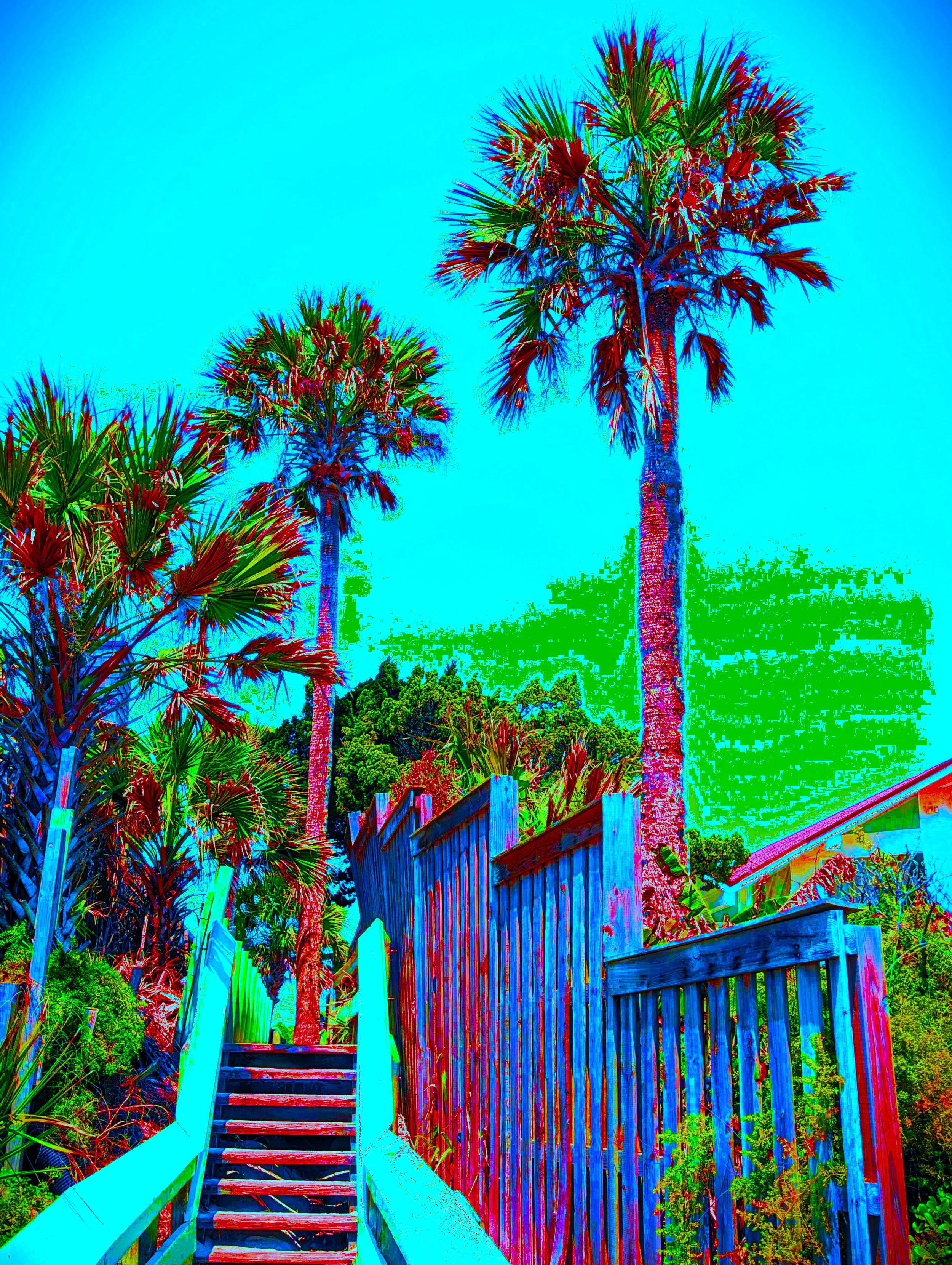 PALMWALK 3 SOLARTEALx2.jpg