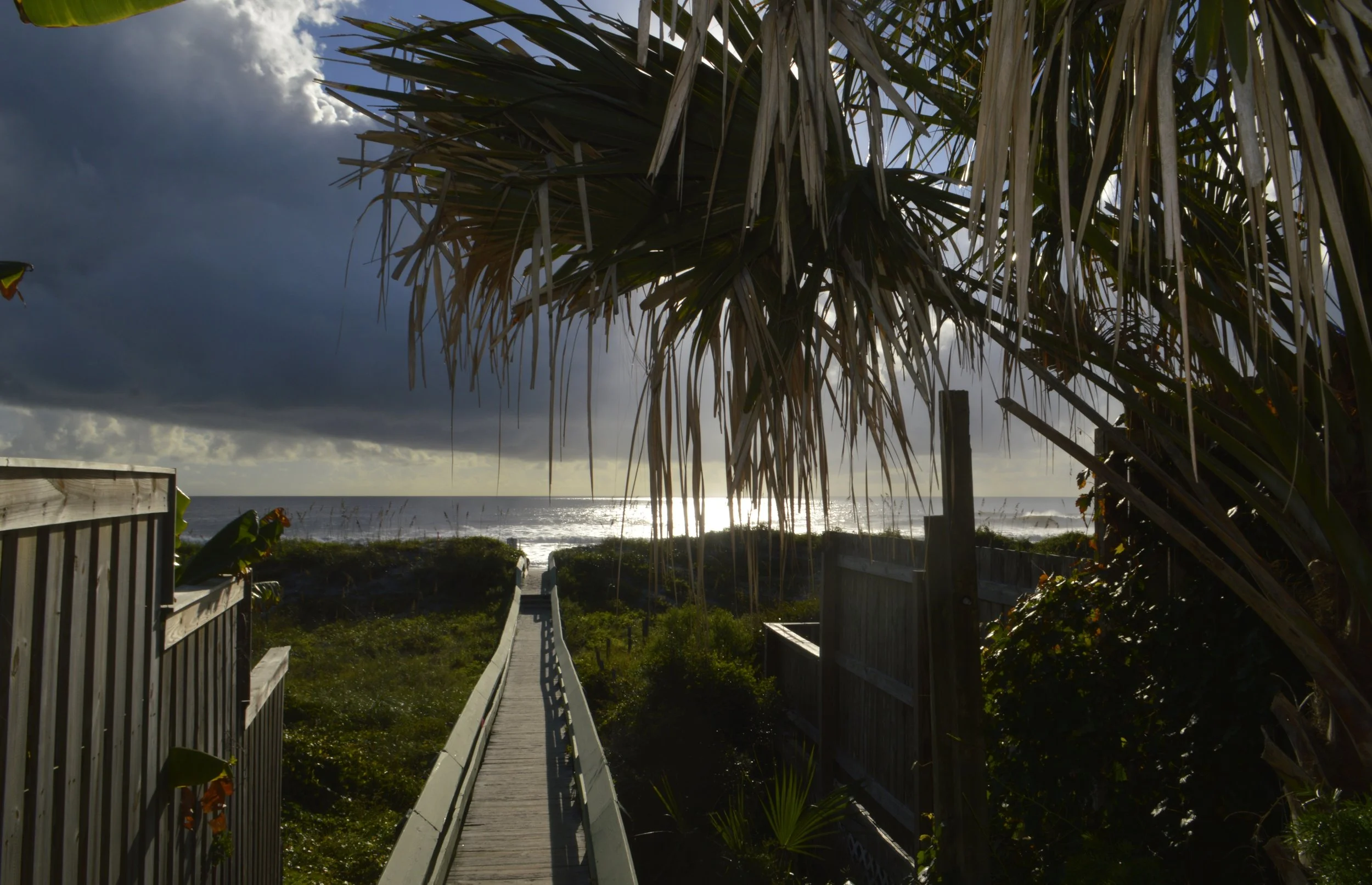 Morning Beacg 026.JPG