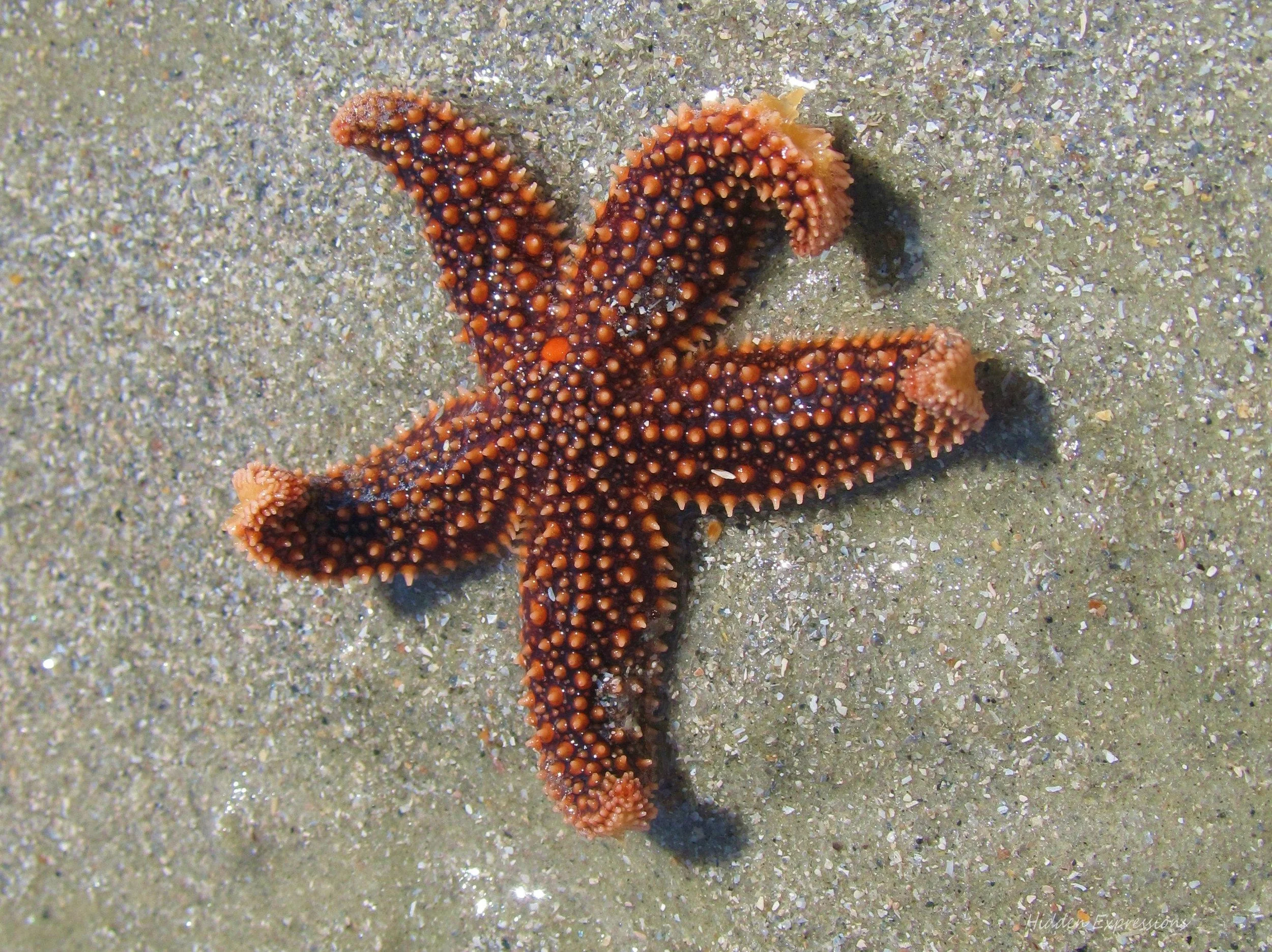 2011 Fall surf 043t.jpg