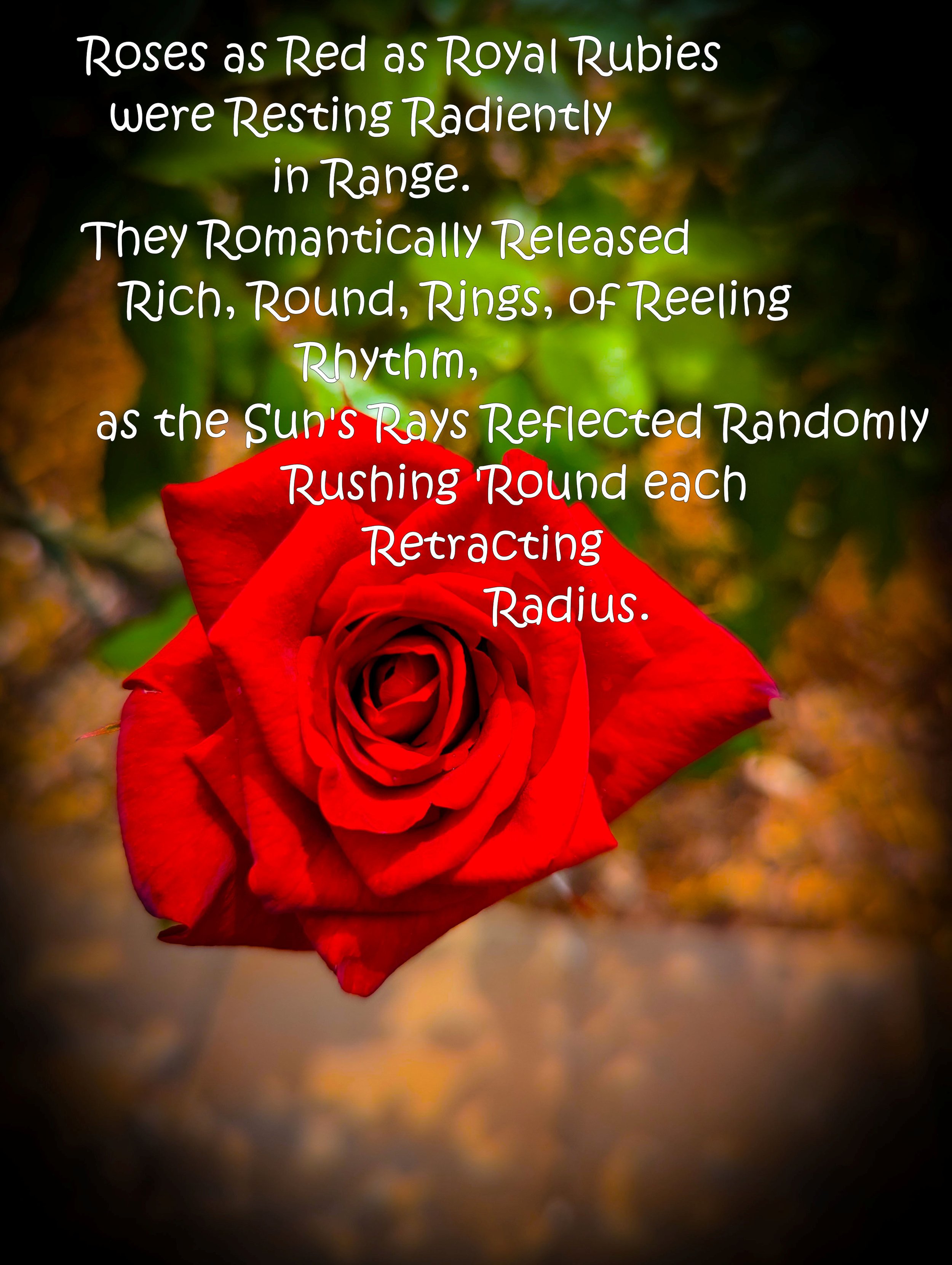 ROSESALLITPHOTO1.jpg
