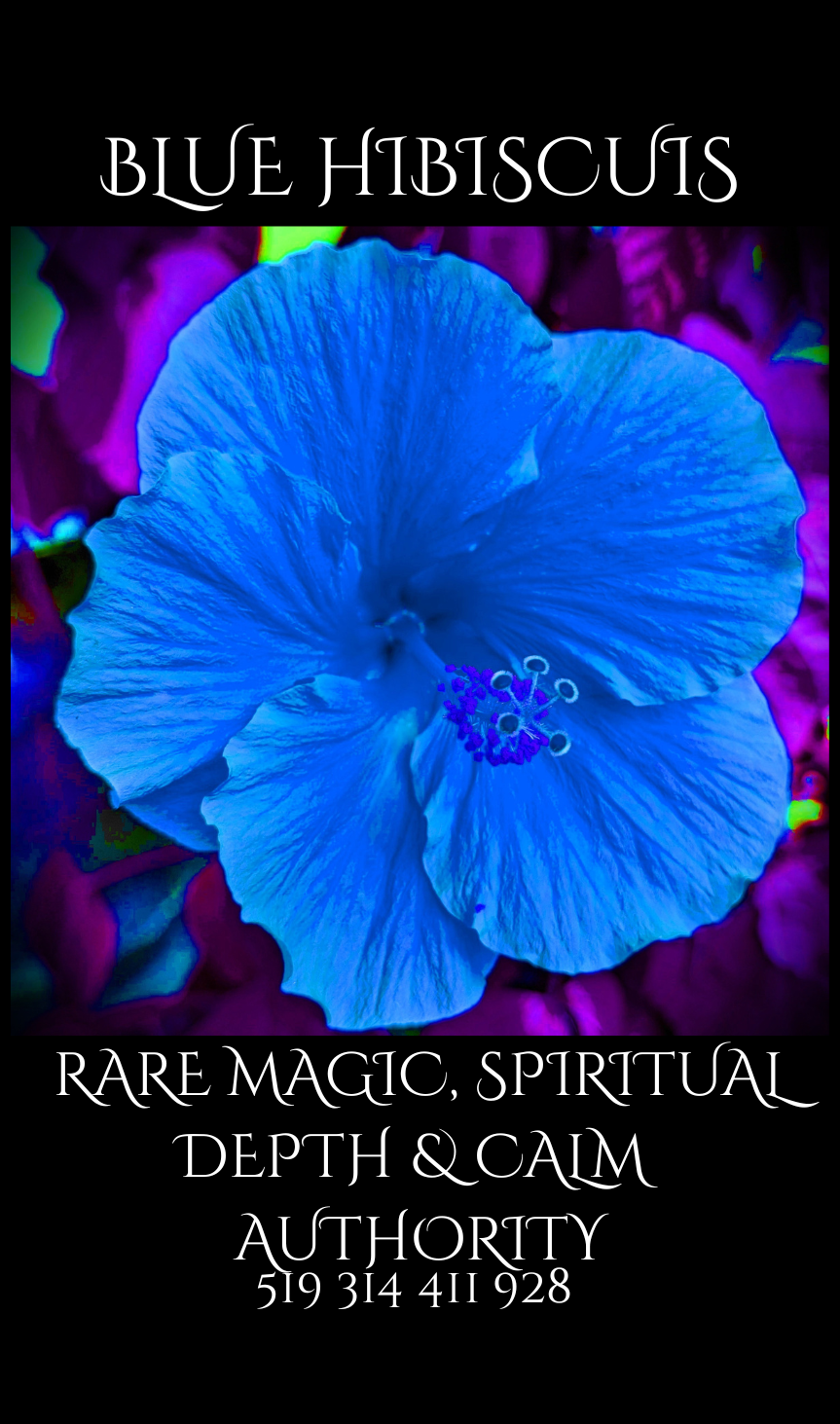 PNG BLUE HIBISCUS.png