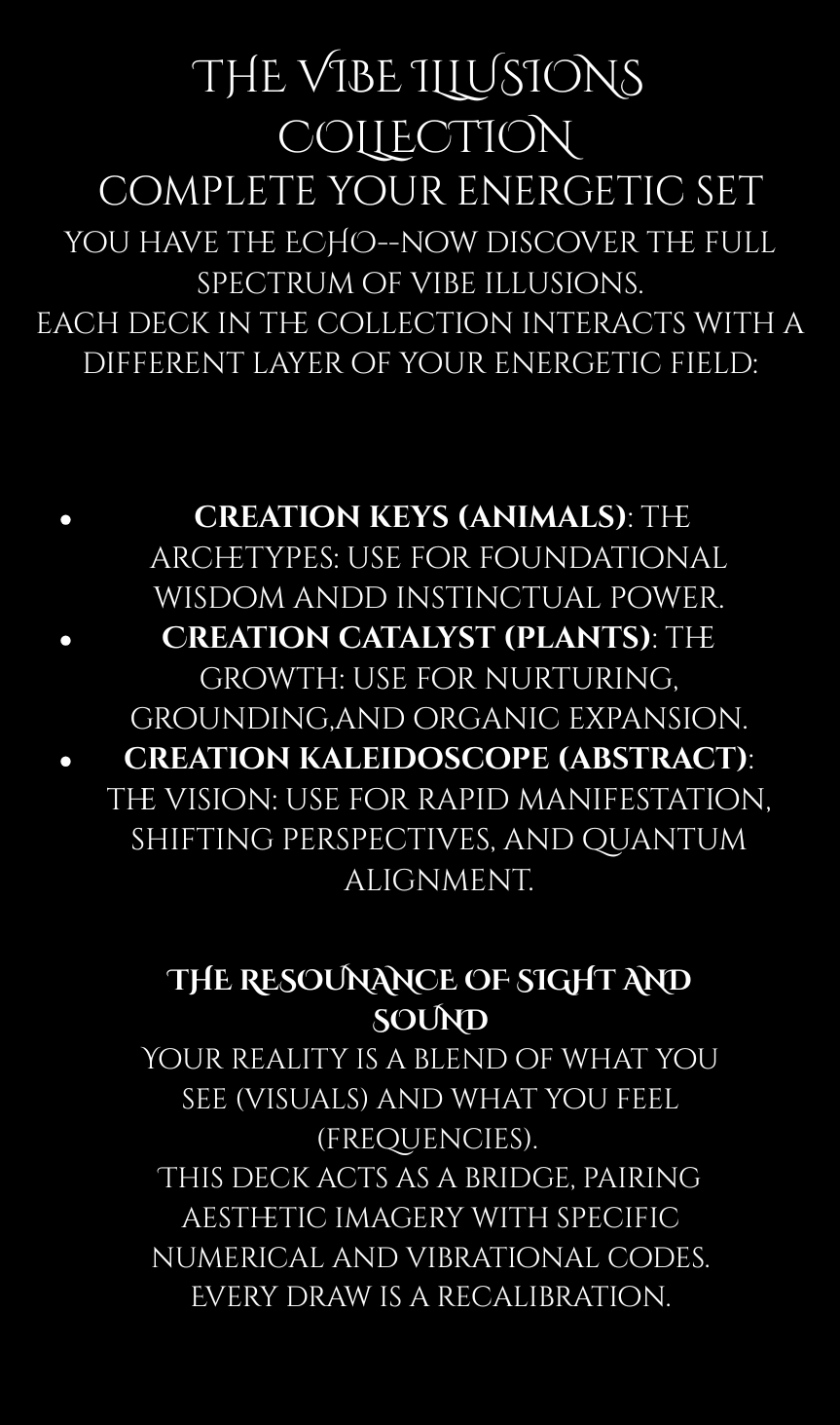 ECHO INSERT PG 1.png