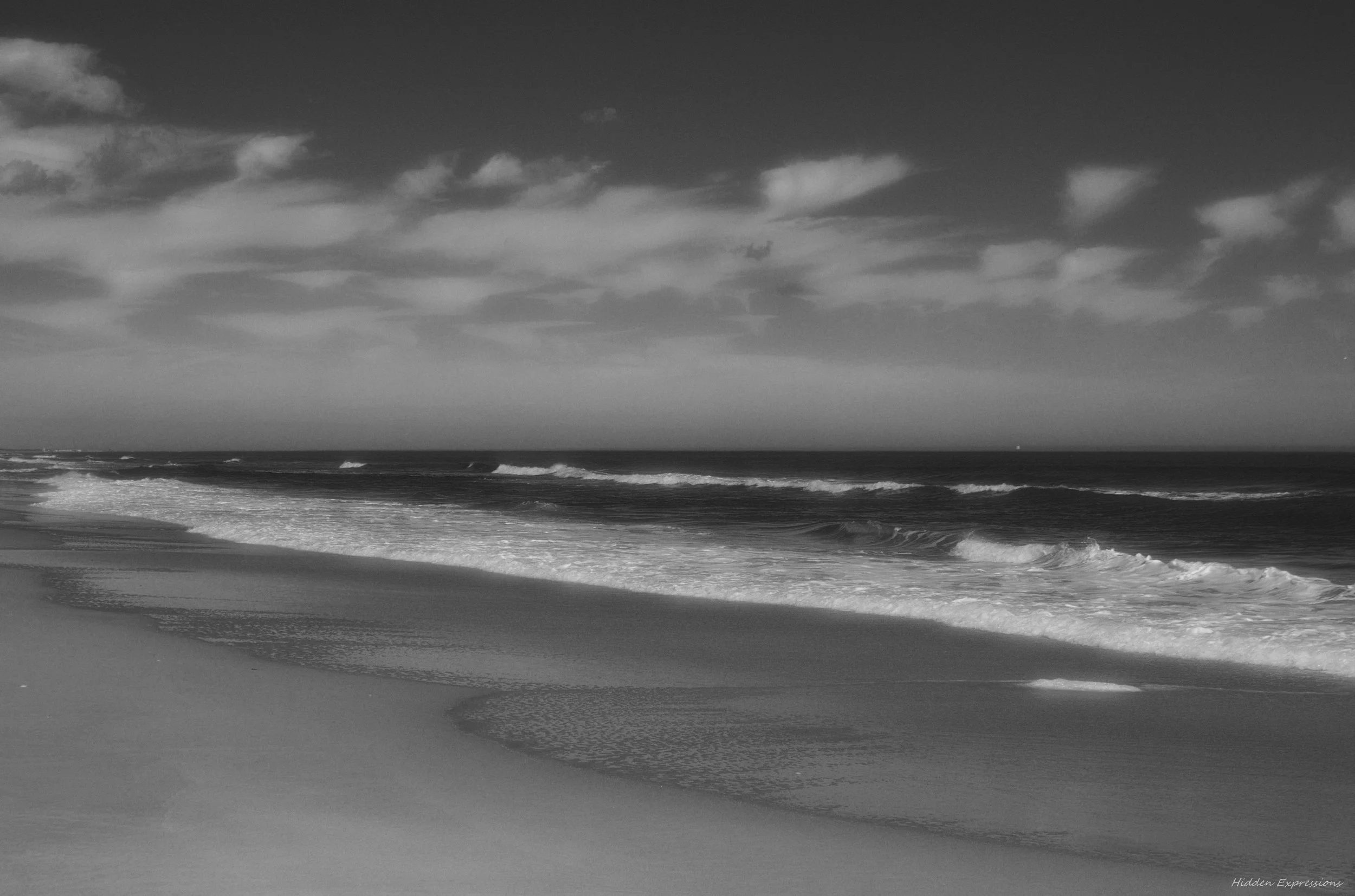 2014 Spring 094bwt.jpg