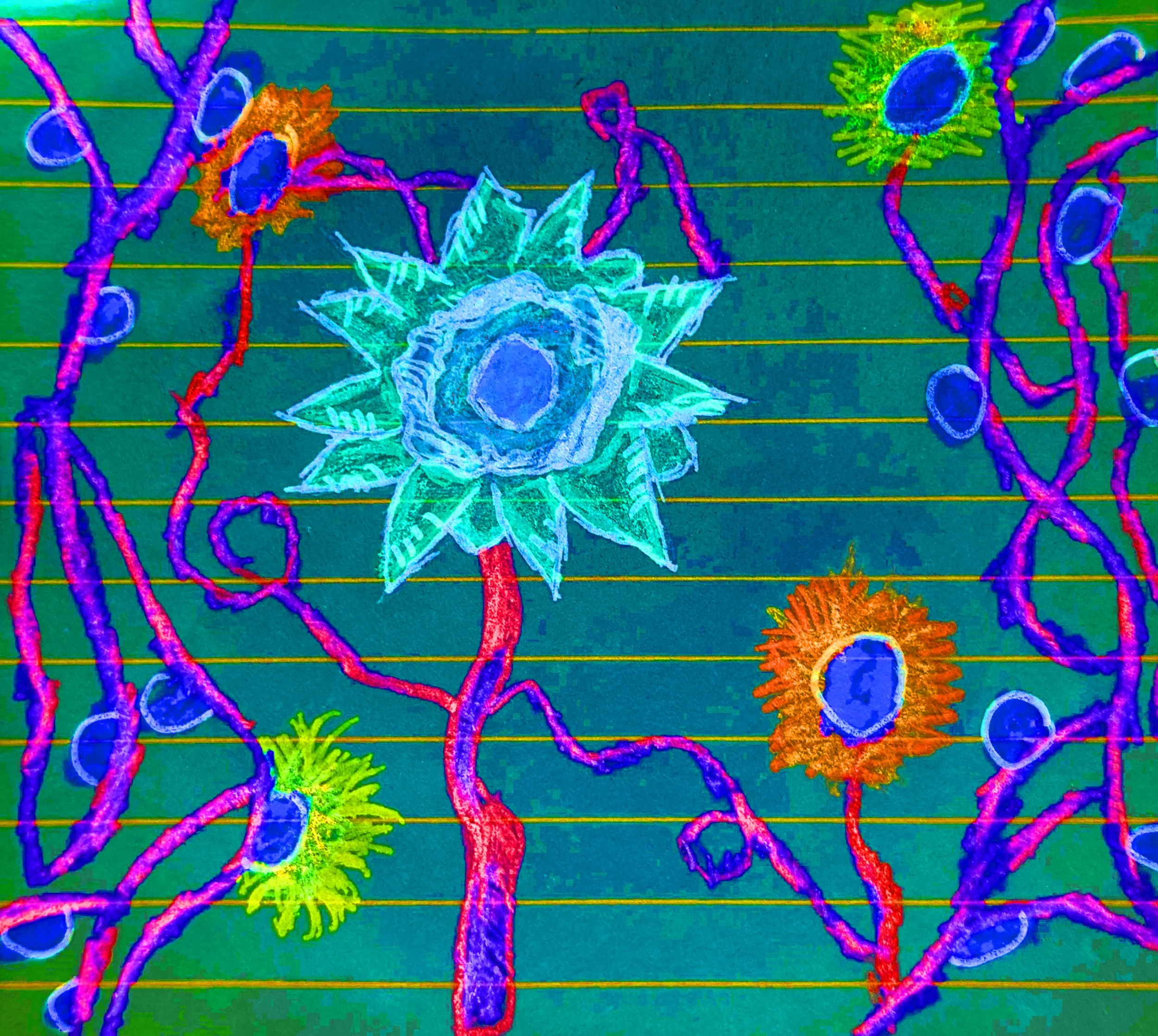 ANENOME SOLARPOP.jpg