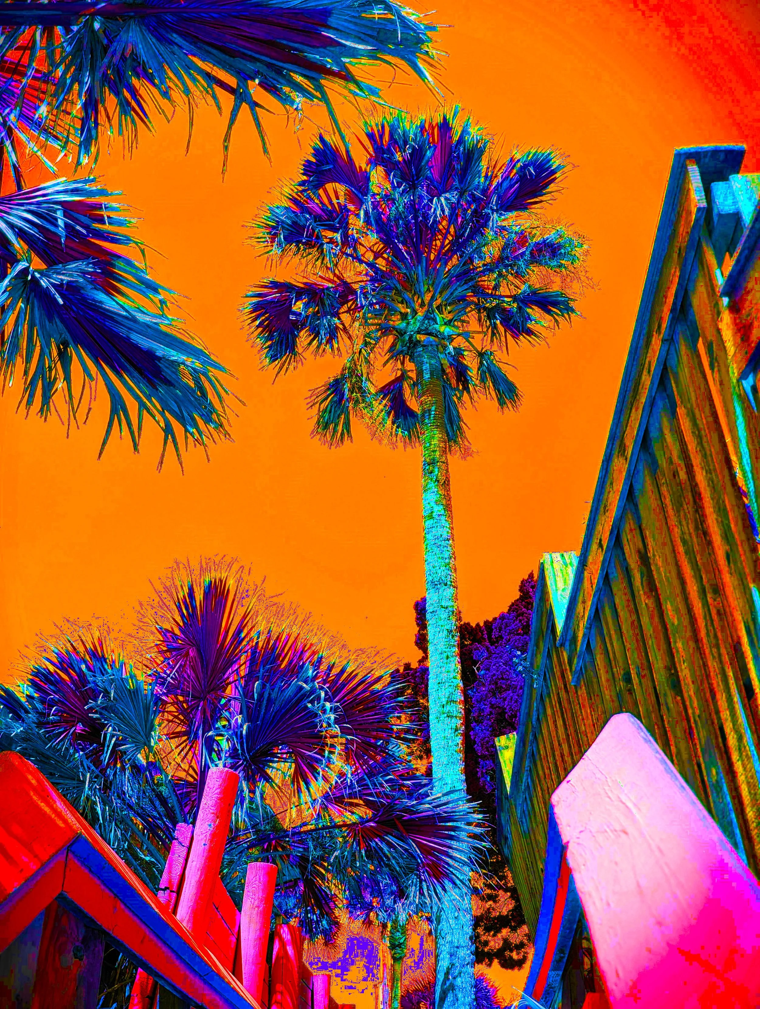 PALMWALK 1 SOLARx2.jpg