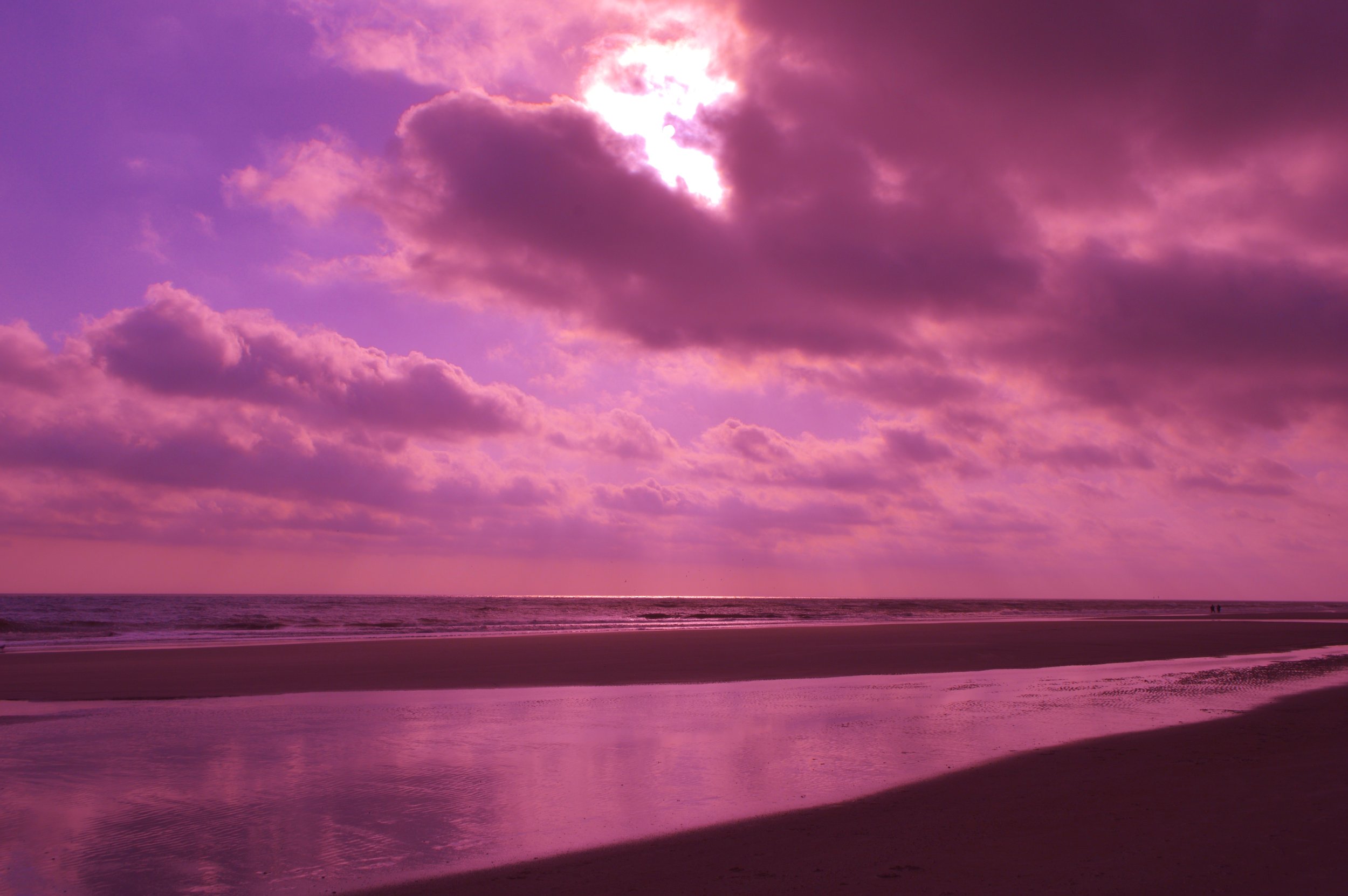 2017 Jan Beach 001 tint.jpg