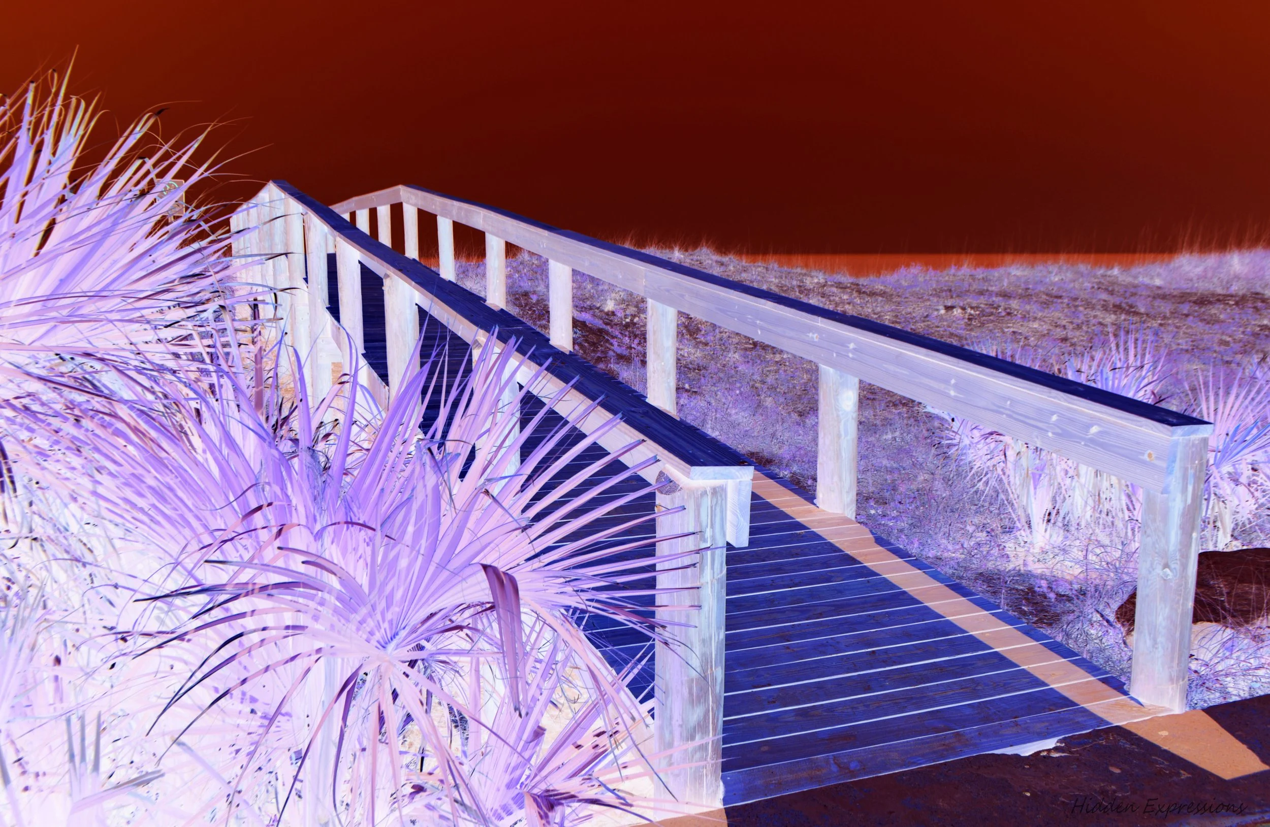 2014 May Day 029negsat.jpg