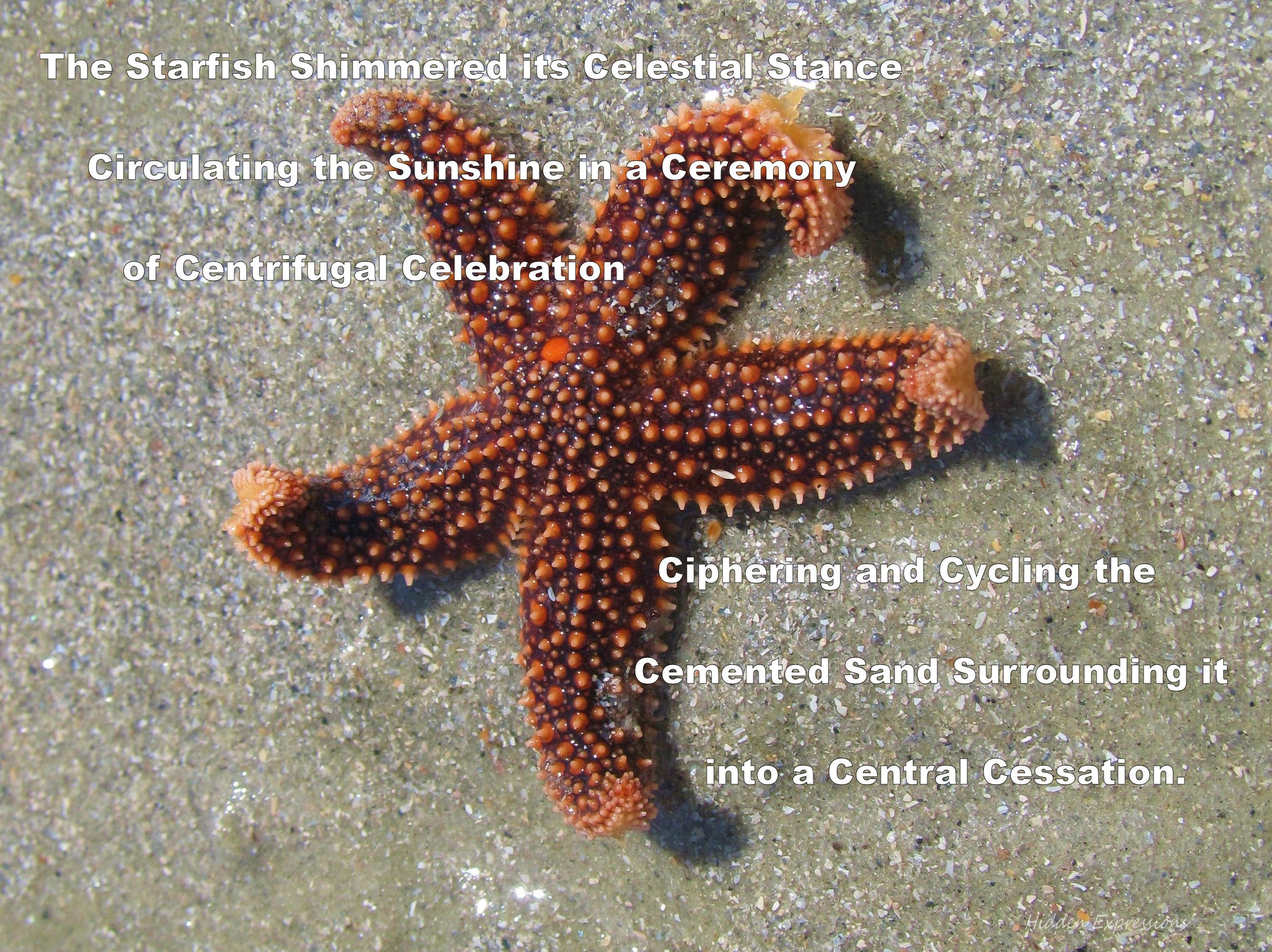 STARFISH XTRA.jpg