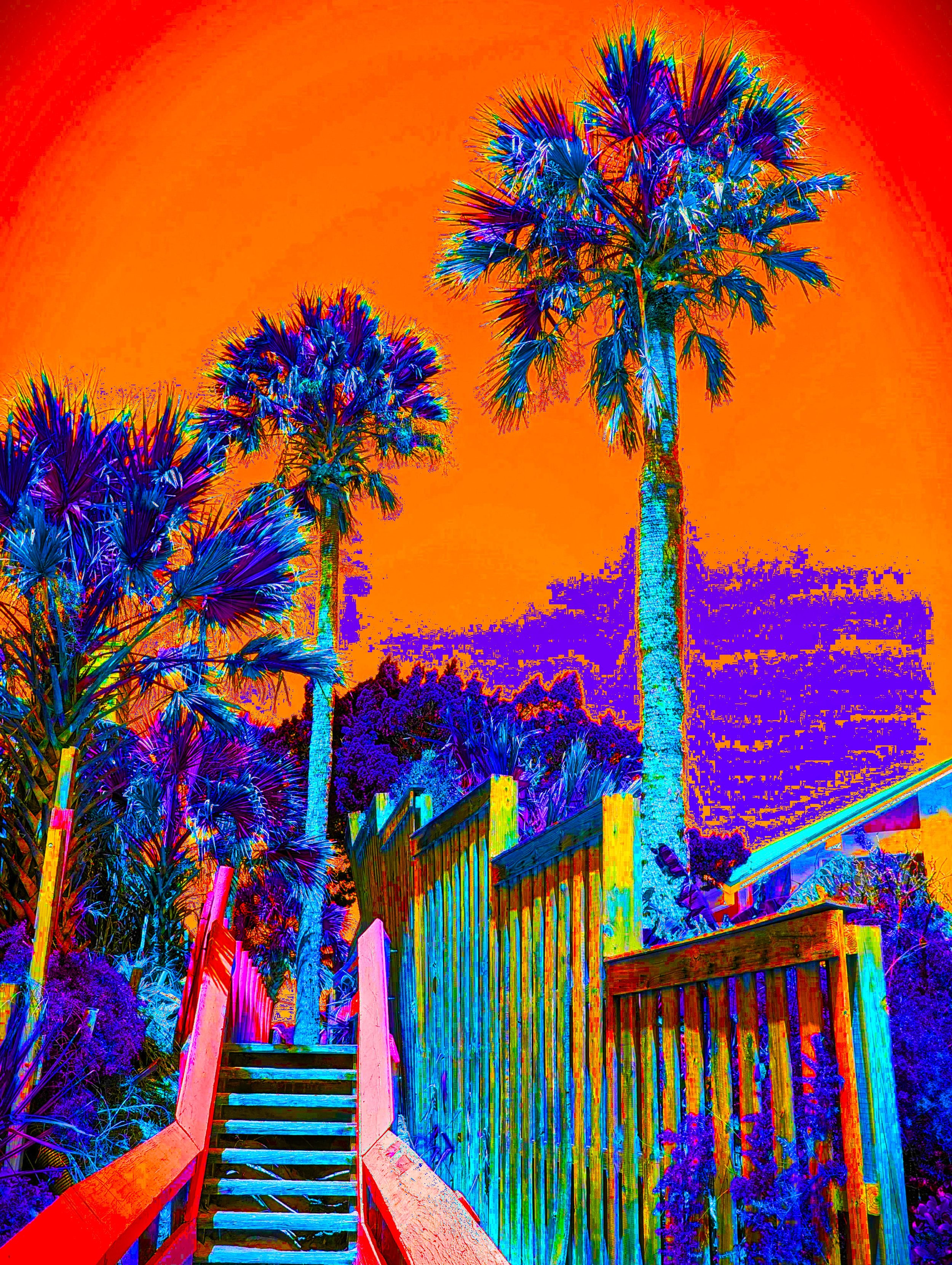 PALMWALK 3 SOLAROx2.jpg