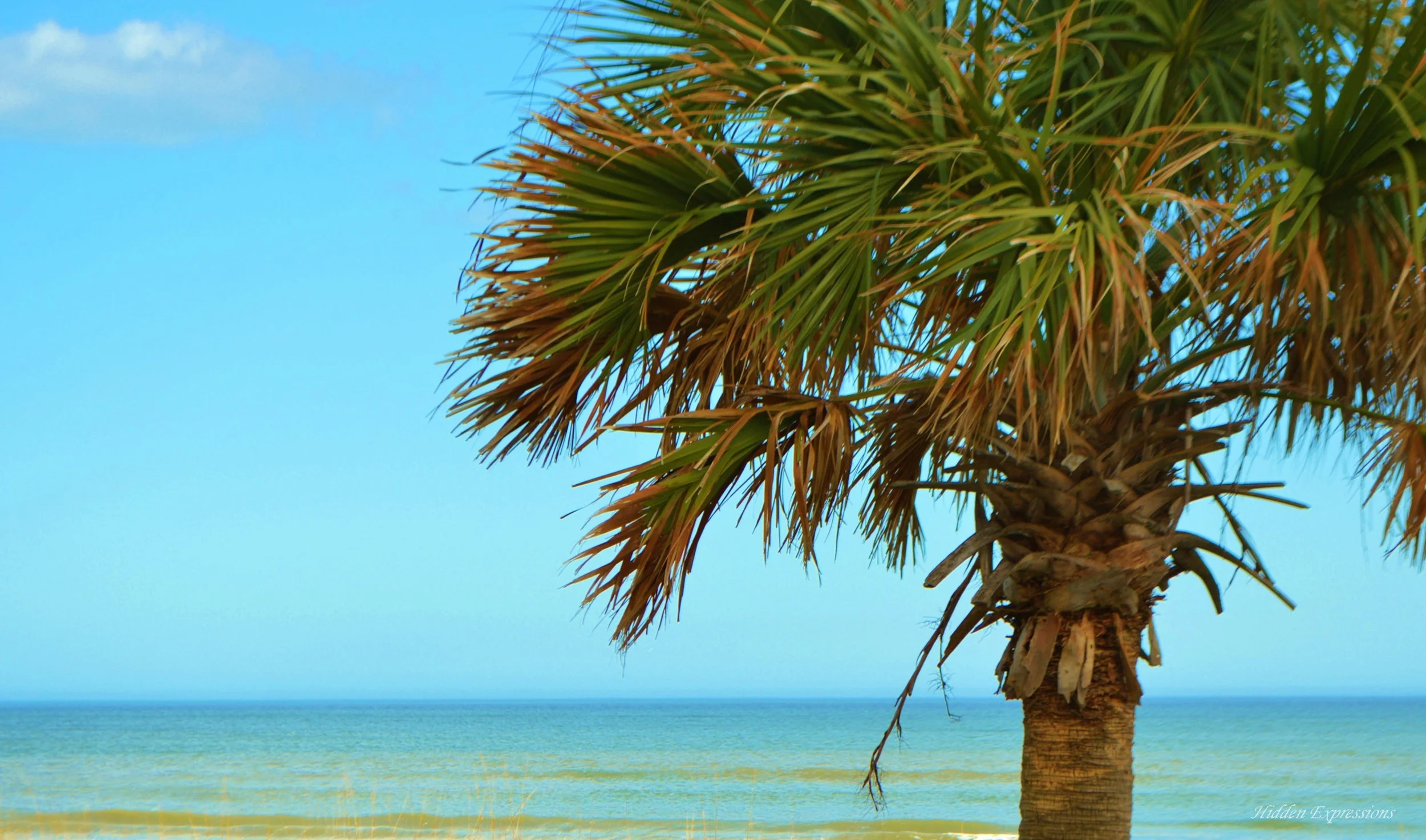 2014 Spring 133t.jpg