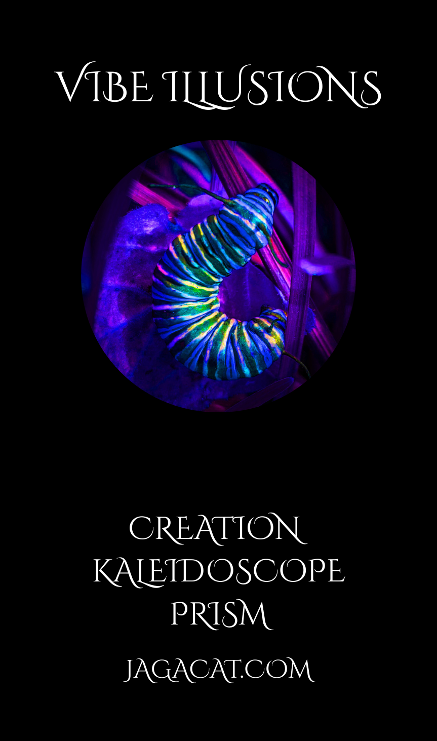 PNG COVER KALEIDO.png