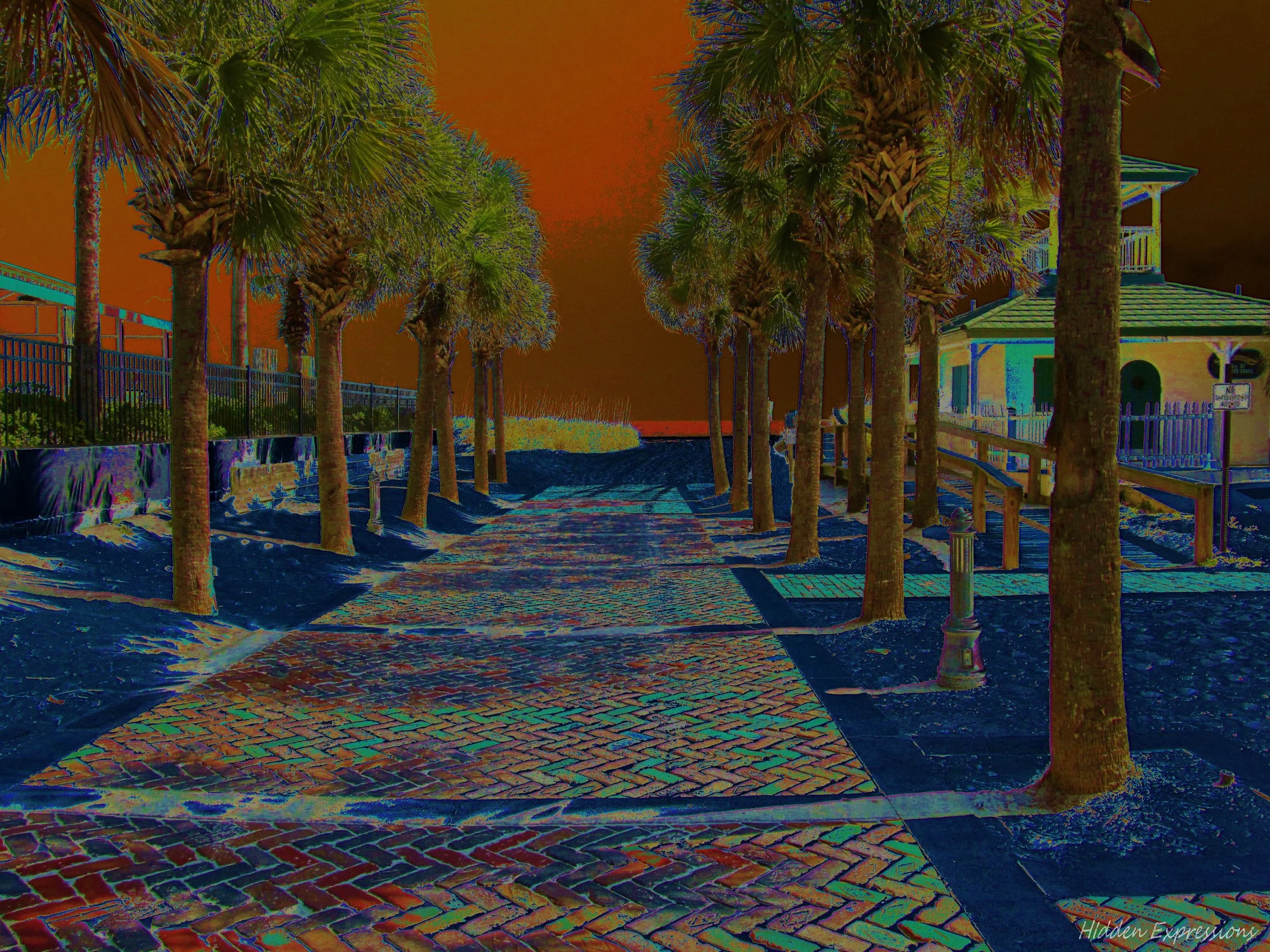 2011  Florida Move & Beach 082 solarpopt.jpg