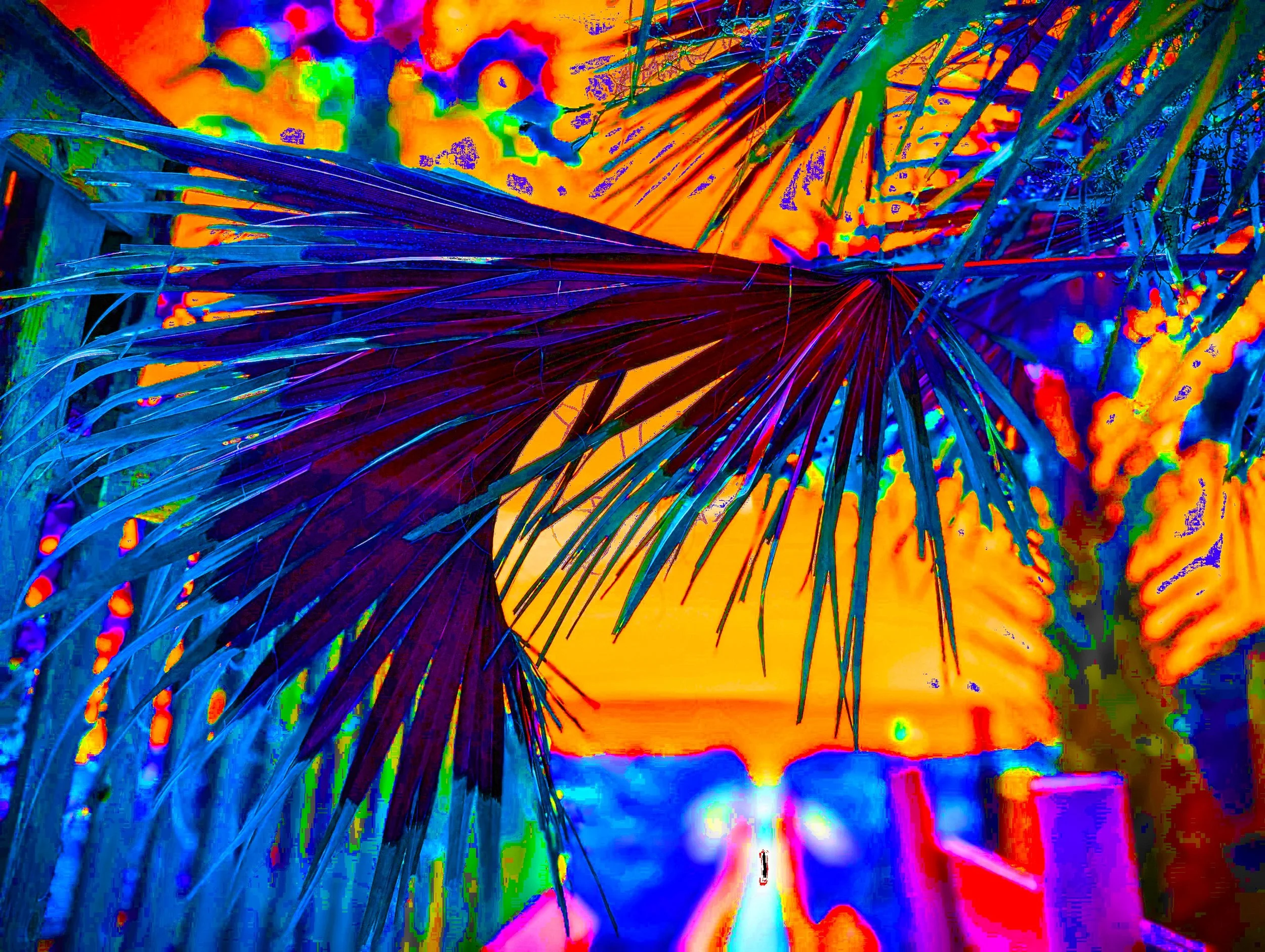 PALMWALK 4 SOLAROx2.jpg