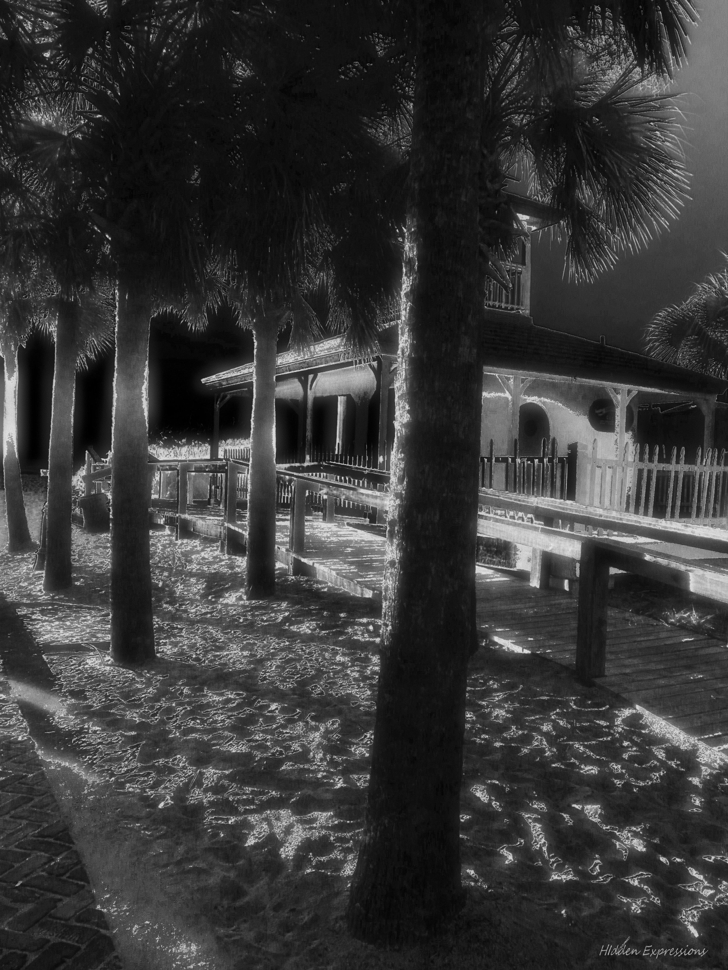 2011 Summer Sunset 073negbwt.jpg