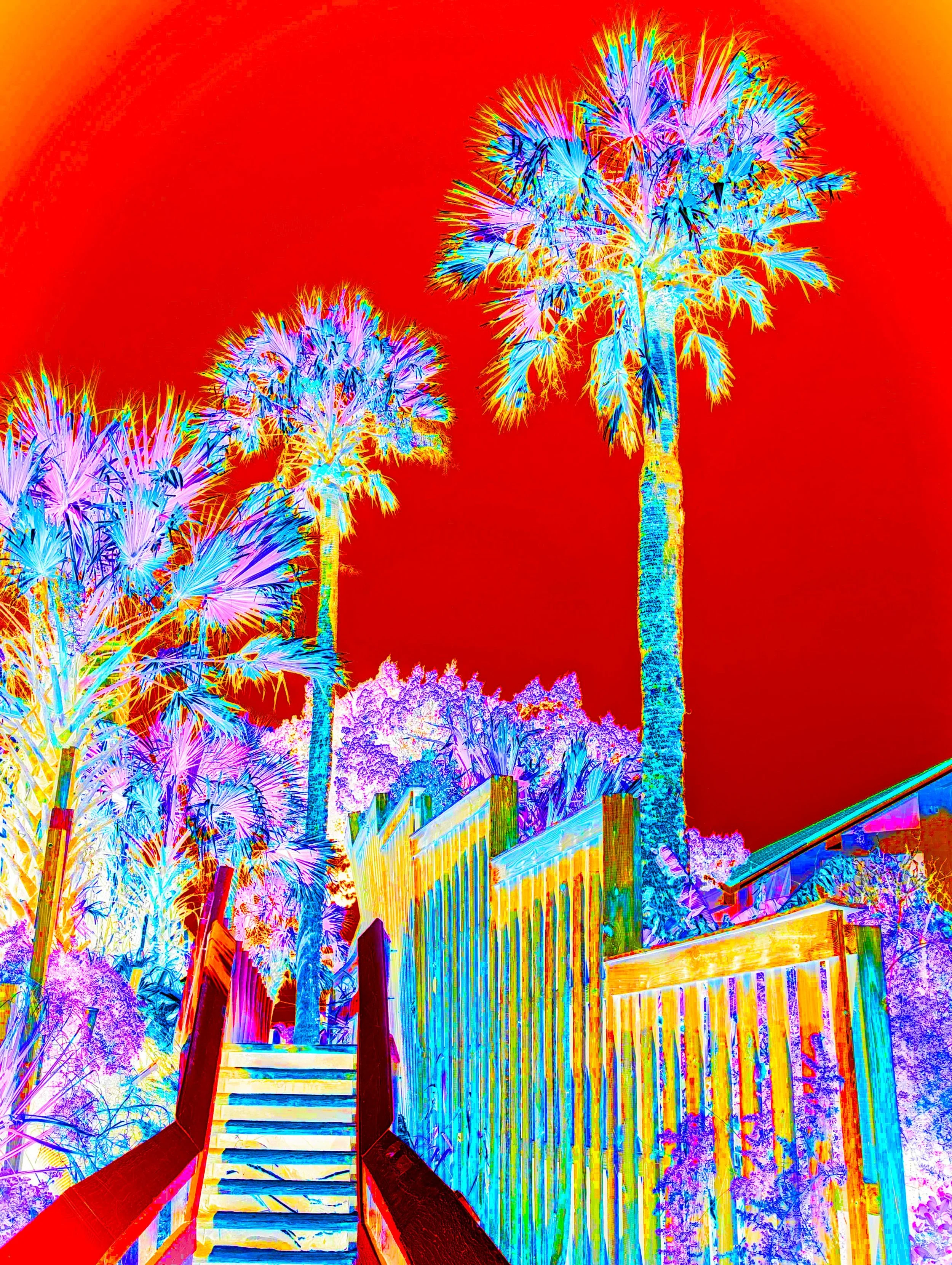 PALMWALK 3 POPx2.jpg