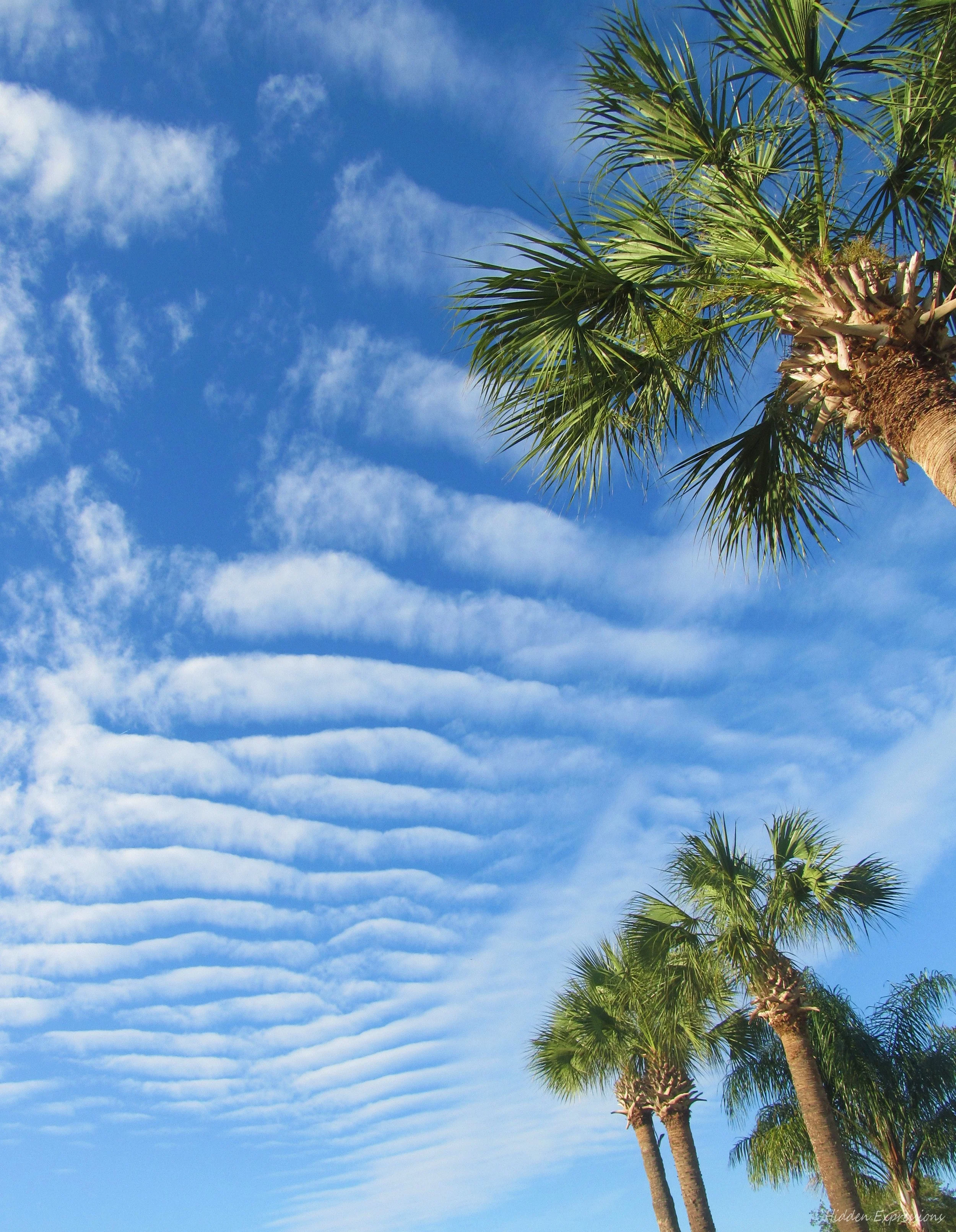 2011 Fall Air show 033t.jpg