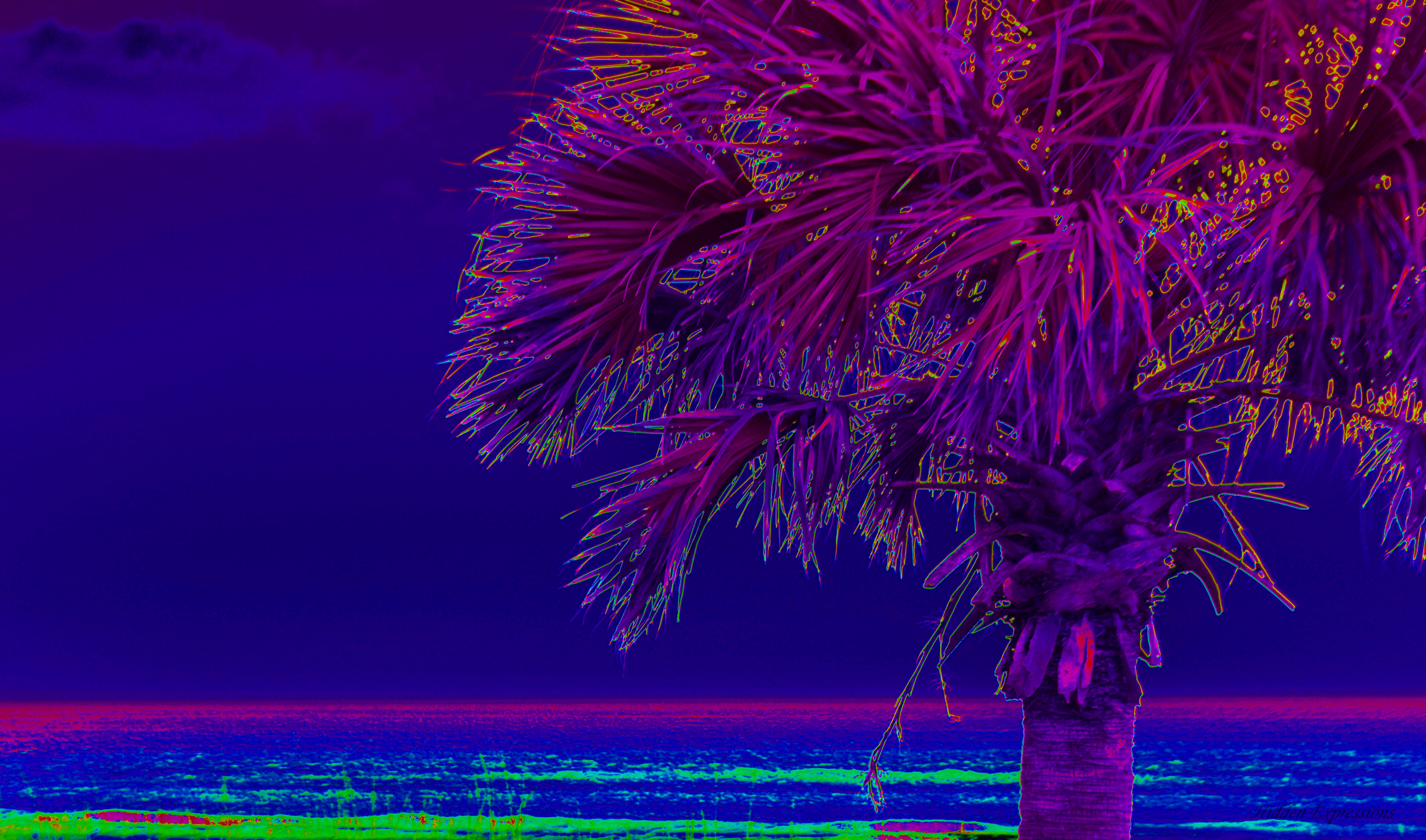 2014 Spring 133tpoppurple.png