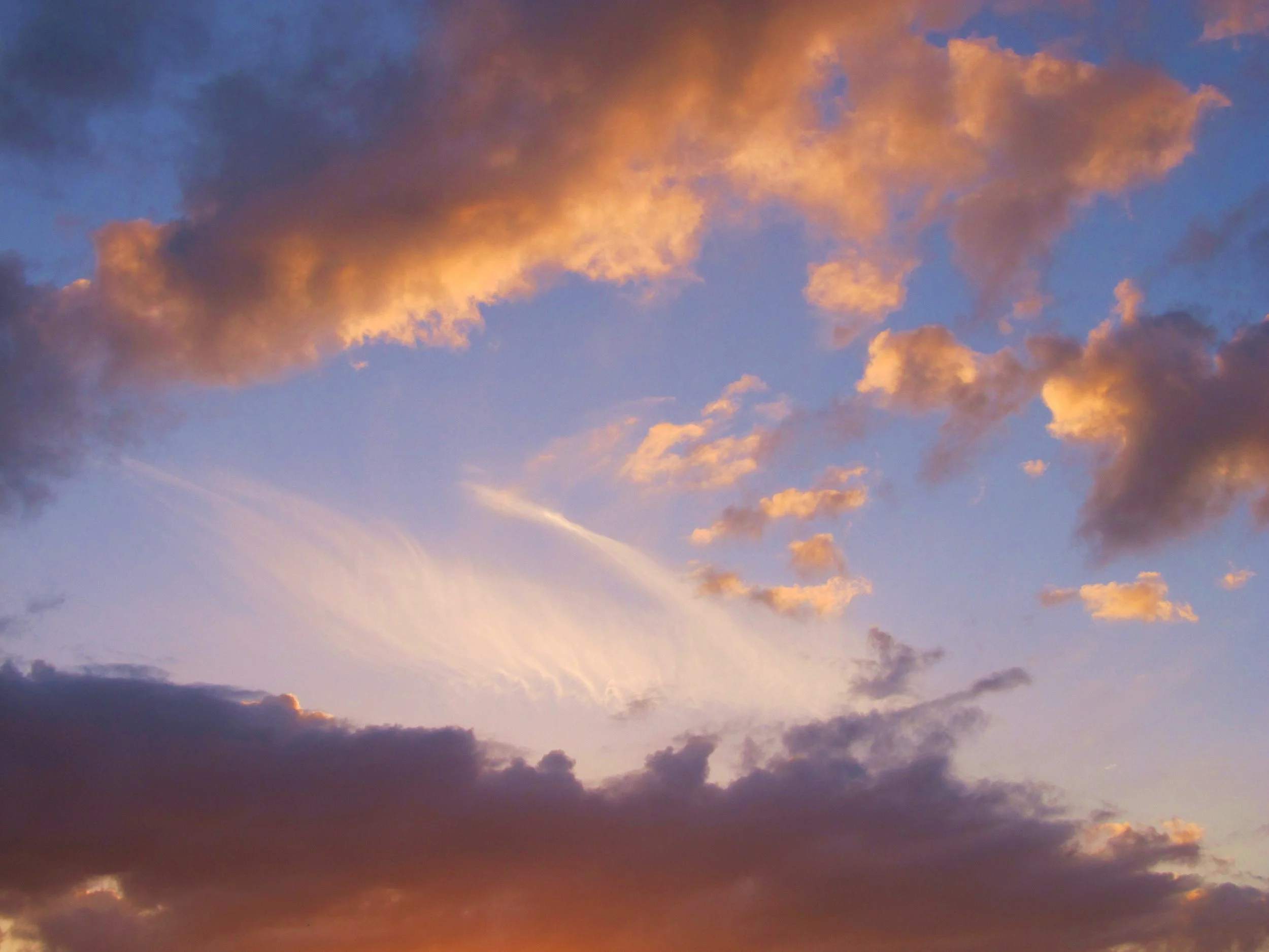 2011  Florida Move & Beach 191.JPG