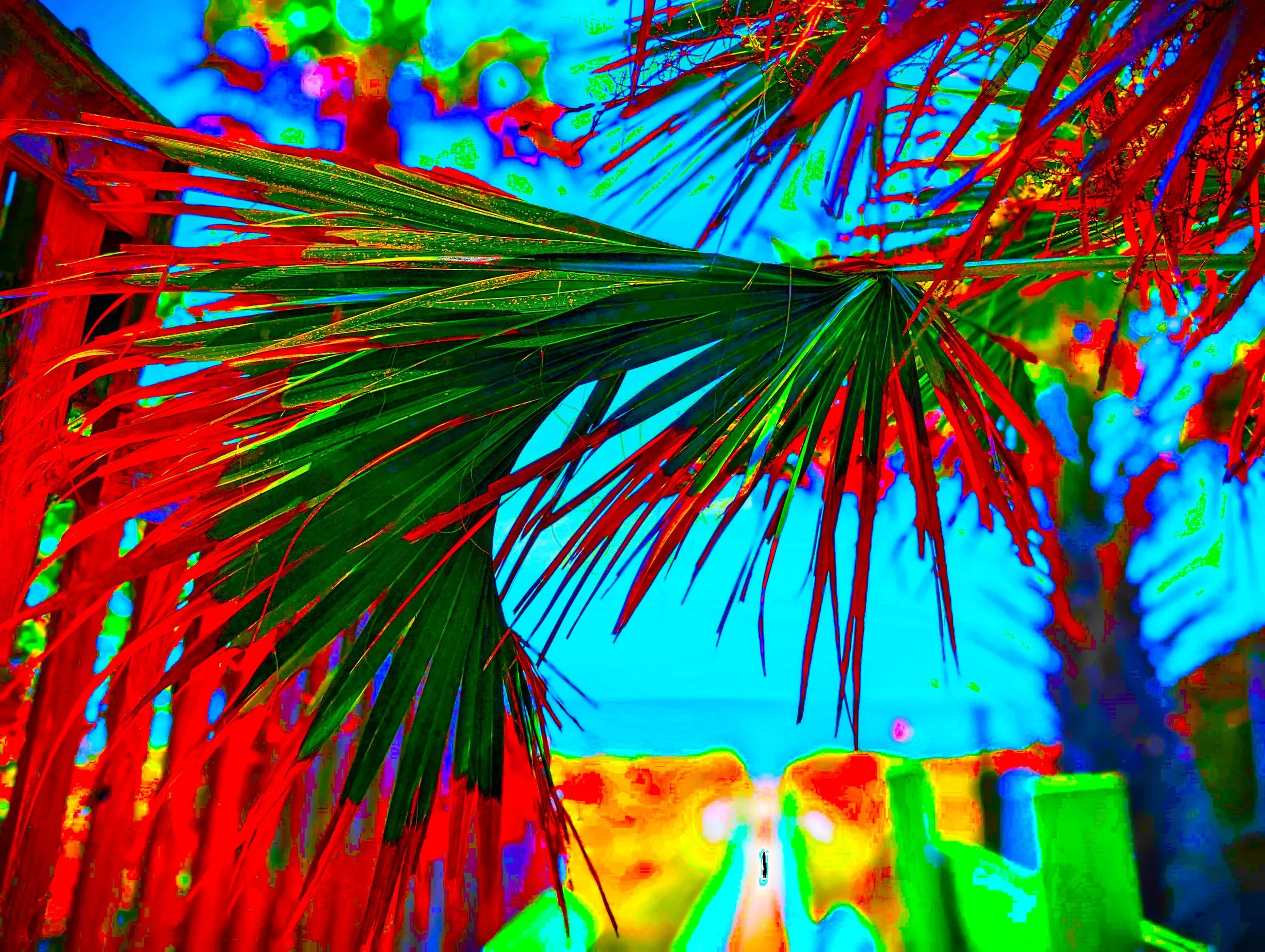 PALMWALK 4 SOLARx2x2.jpg