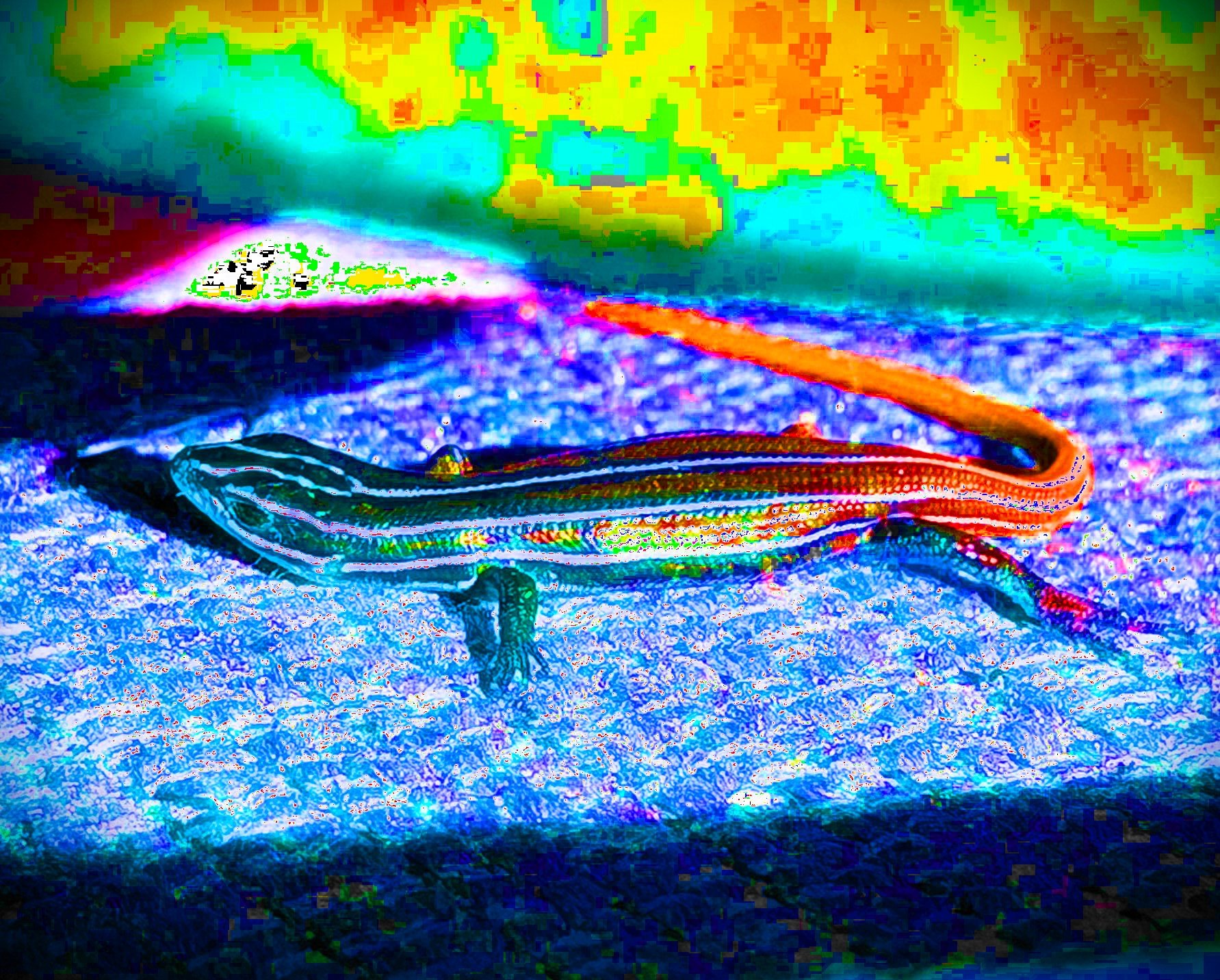 CHIMALIZARD 2 POP.jpg