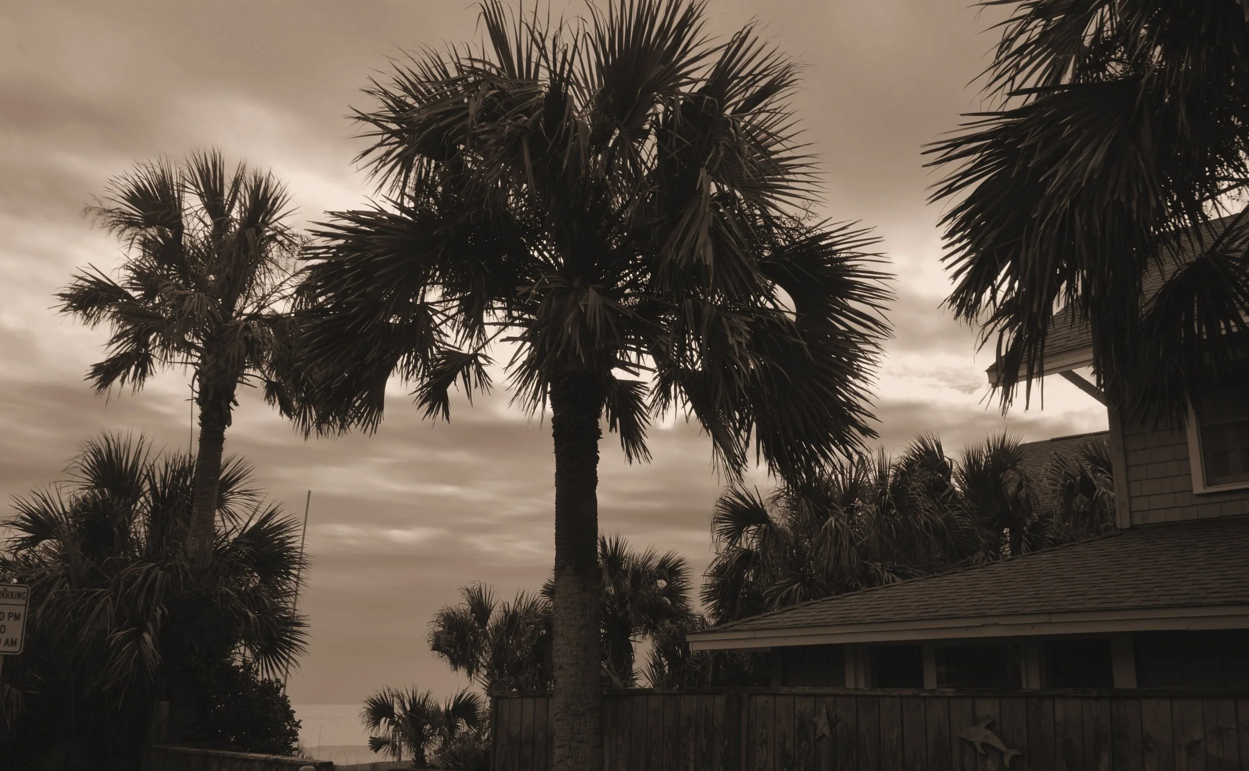 2017 Atl Beach 002sep.jpg