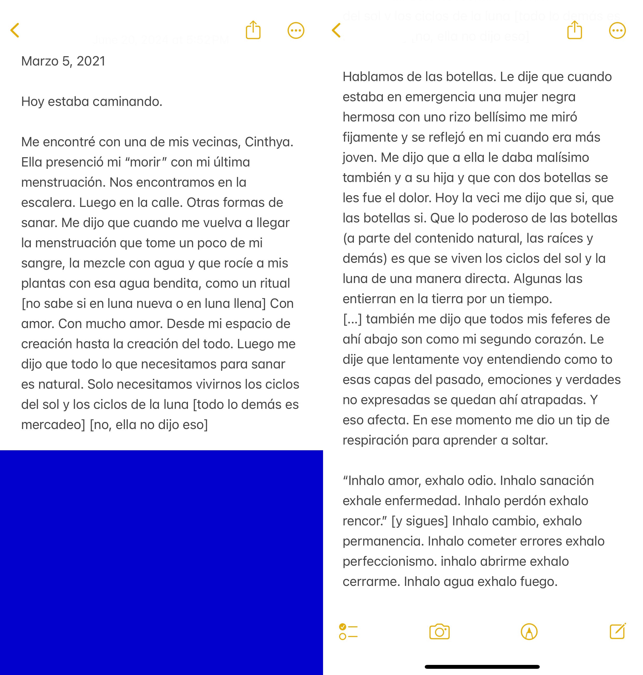 6.3 - con Cinthya_español.jpg