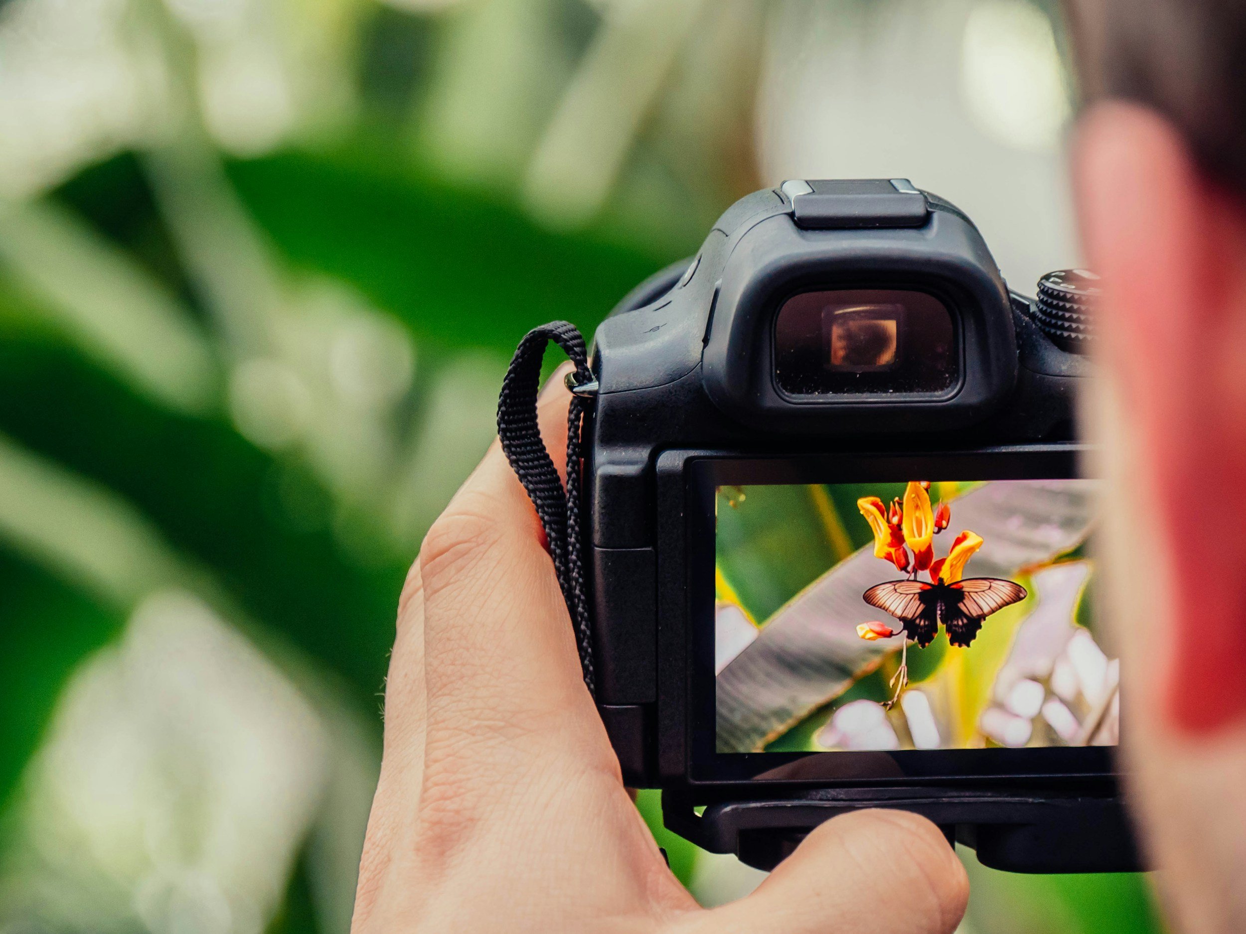 A Week in the Life | Photography Workshops