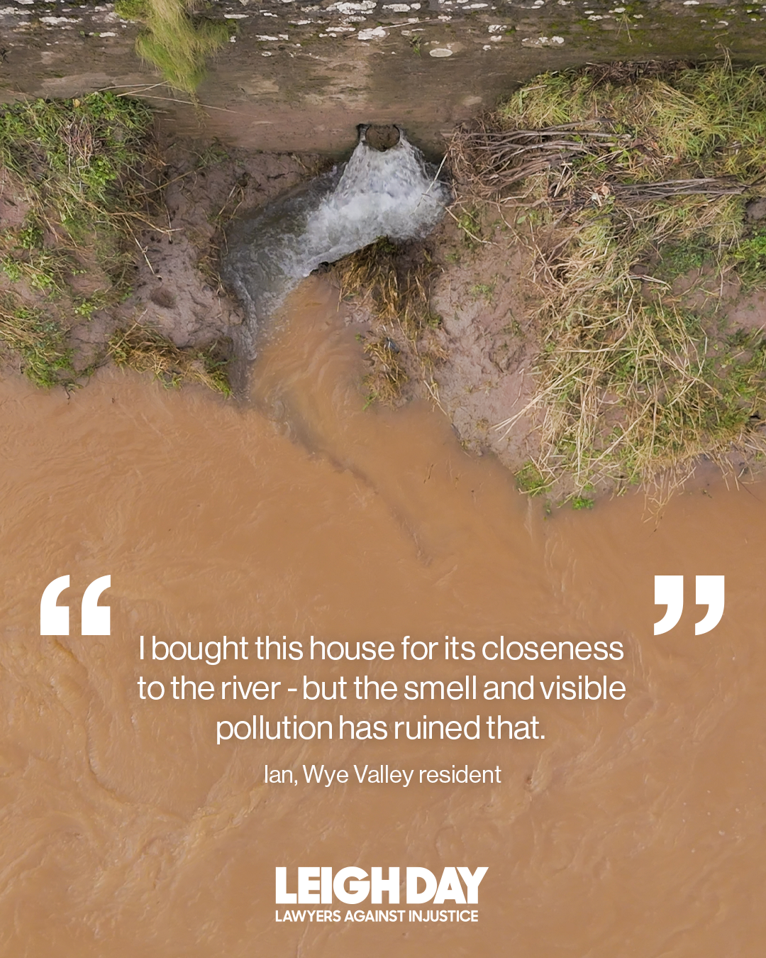 Quote 3.png