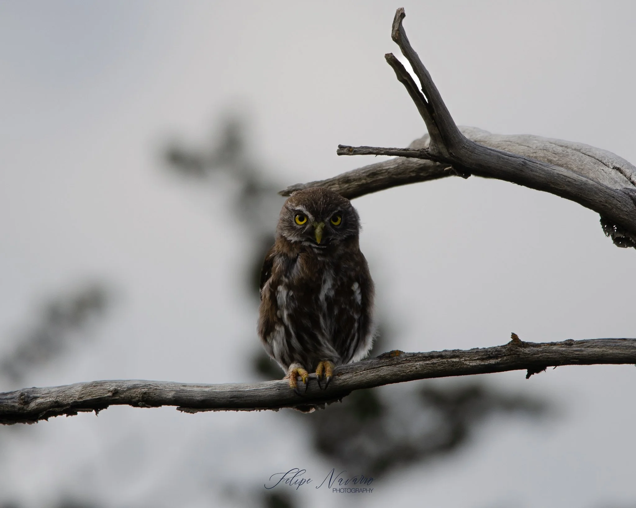 DSC_0040.jpg