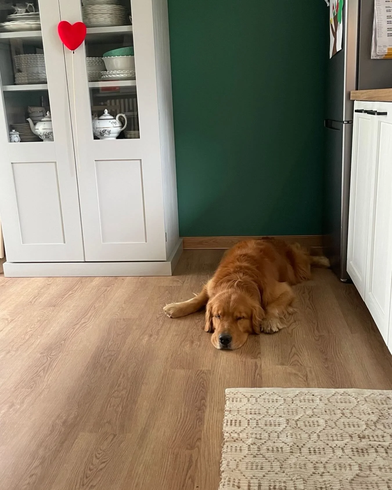 Happy V❤️lentine&rsquo;s Day (belated) from Duggee. Wishing everyone all the 🫶🏼 everyday because that&rsquo;s how it should be. 🐾🐶 #valentinesday #love #amore