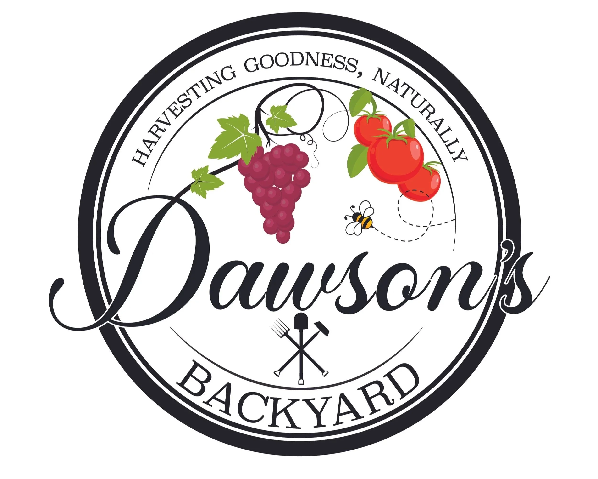 Backyard+Logo.jpg