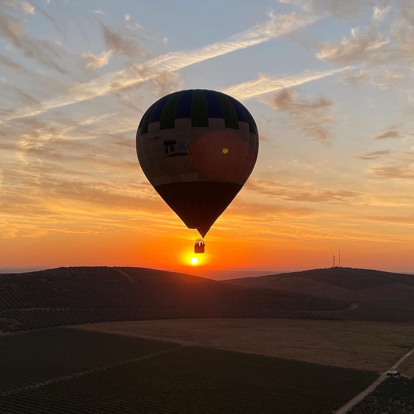 TorreDePalma_HotBalloon.jpeg