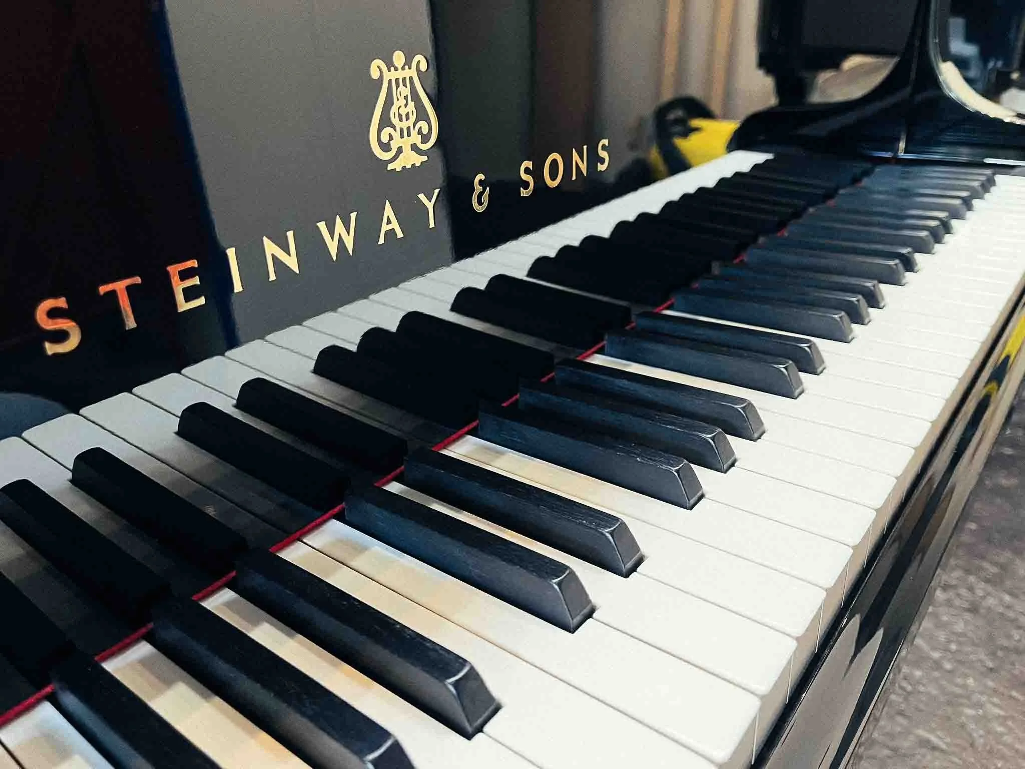 tastenwerk_rkz_revision_steinway_b_19.jpg