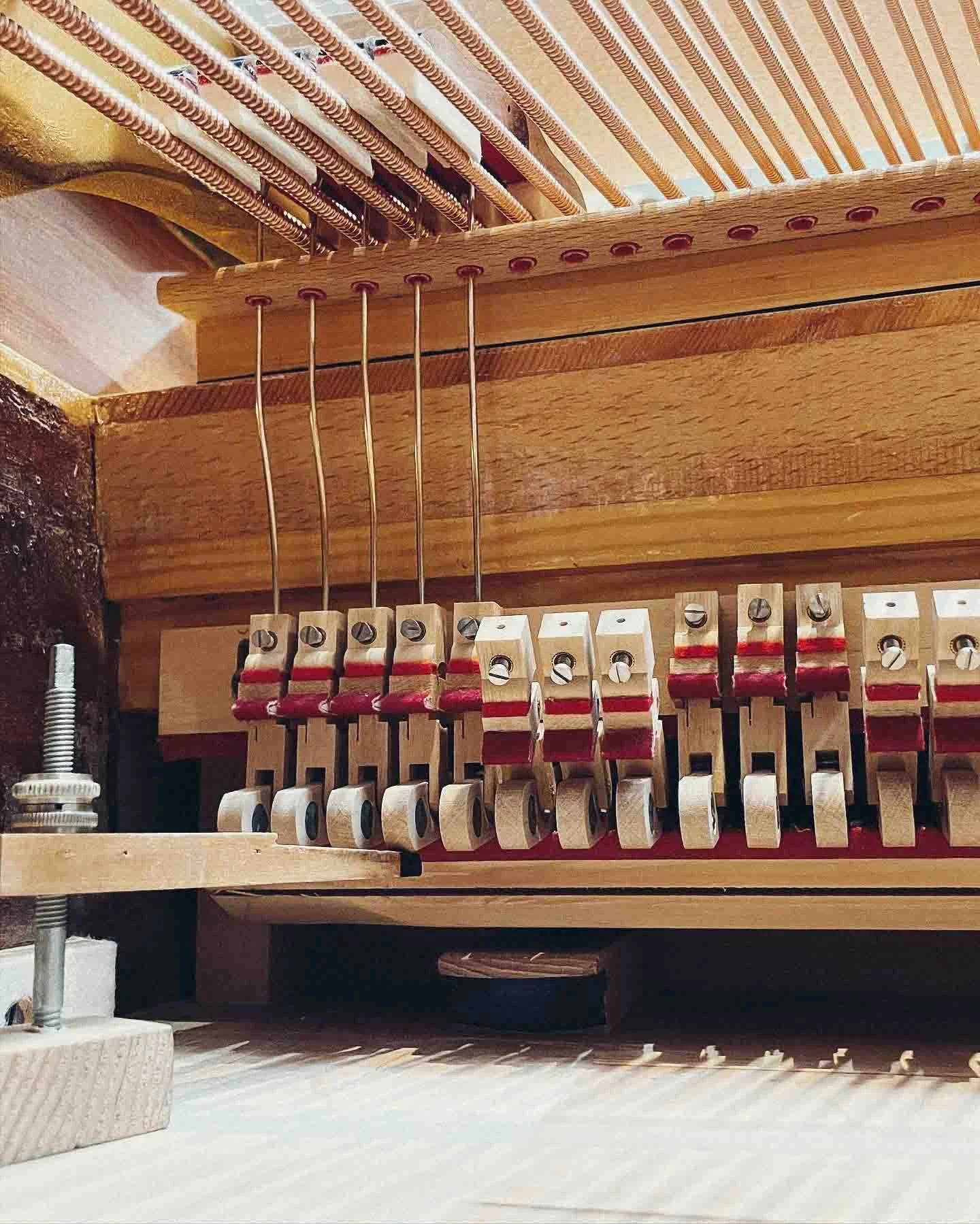 tastenwerk_rkz_revision_steinway_b_16.jpg