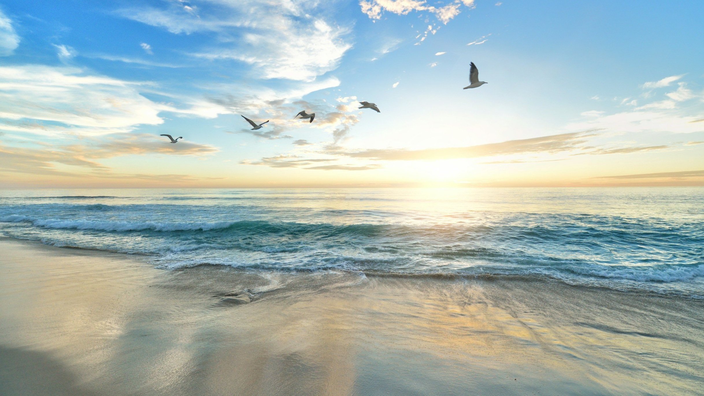 Finding Your Way Out: Steps to Overcoming Emotional Struggles