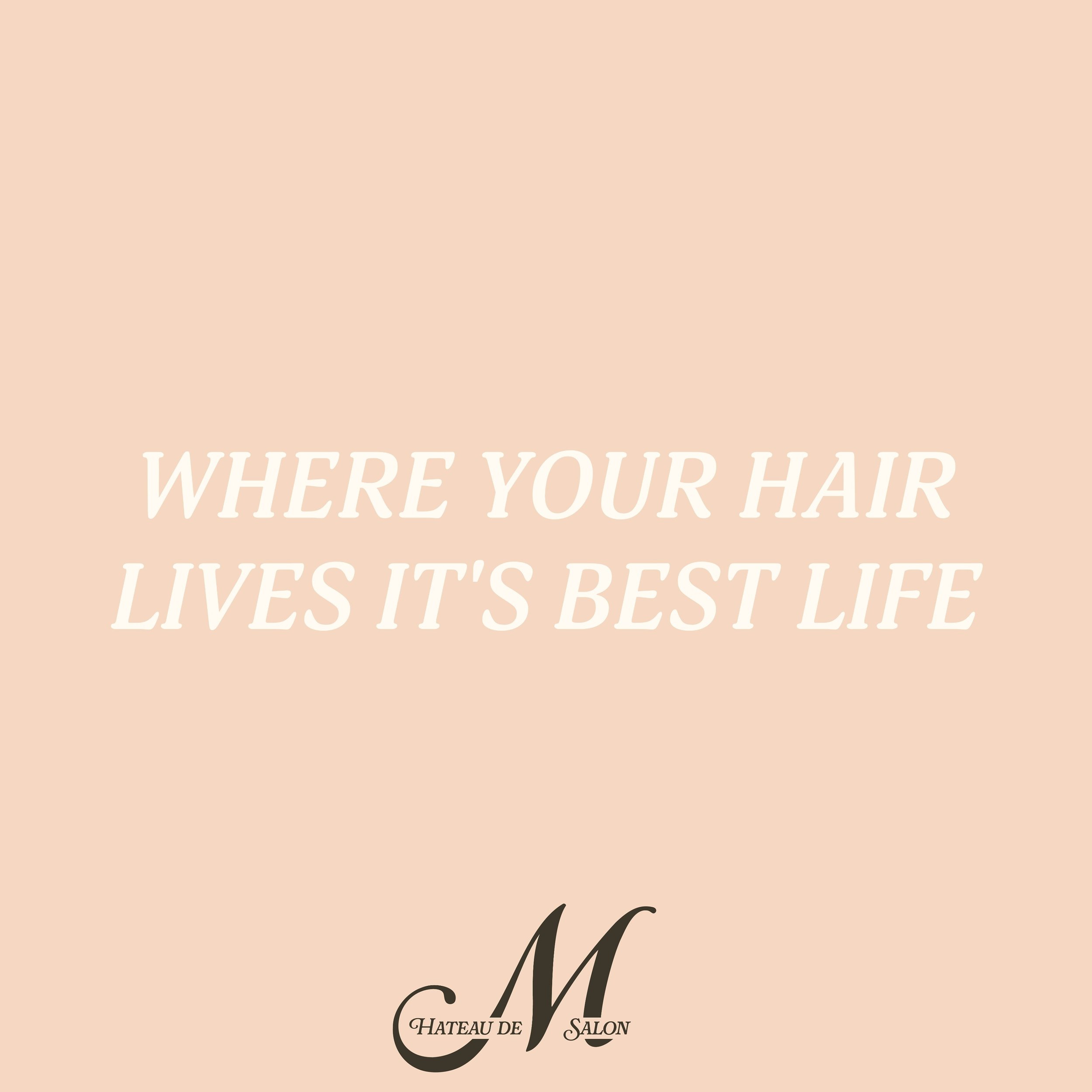 Where your hair lives it’s best life 💆🏽‍♀️ #ChateaudeM
#hairsalon #salontampa #tampahairsalon #hairsalontampa #tampahairstylist #haircare #tampahair